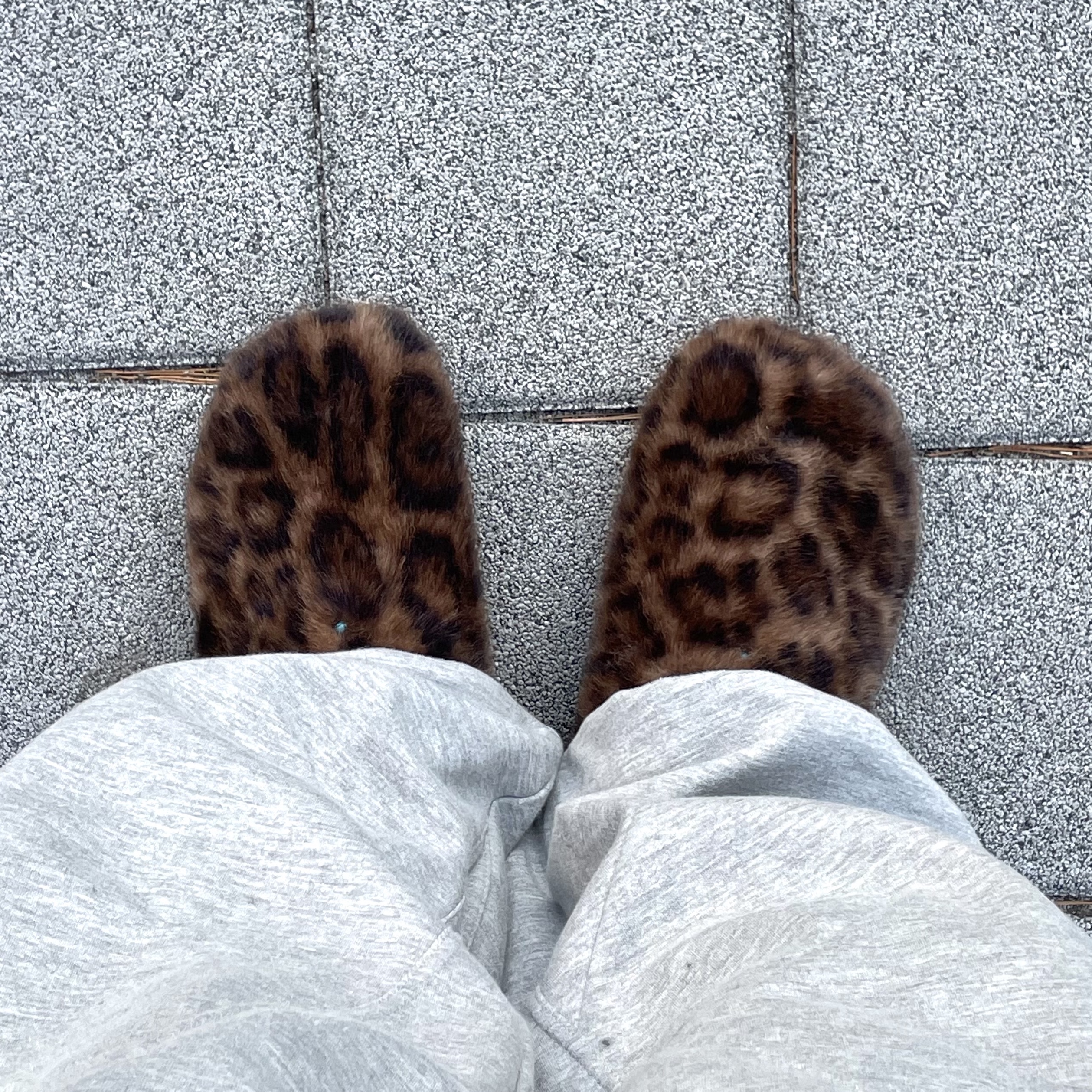 ์์
์ด๋ฏธ์ง