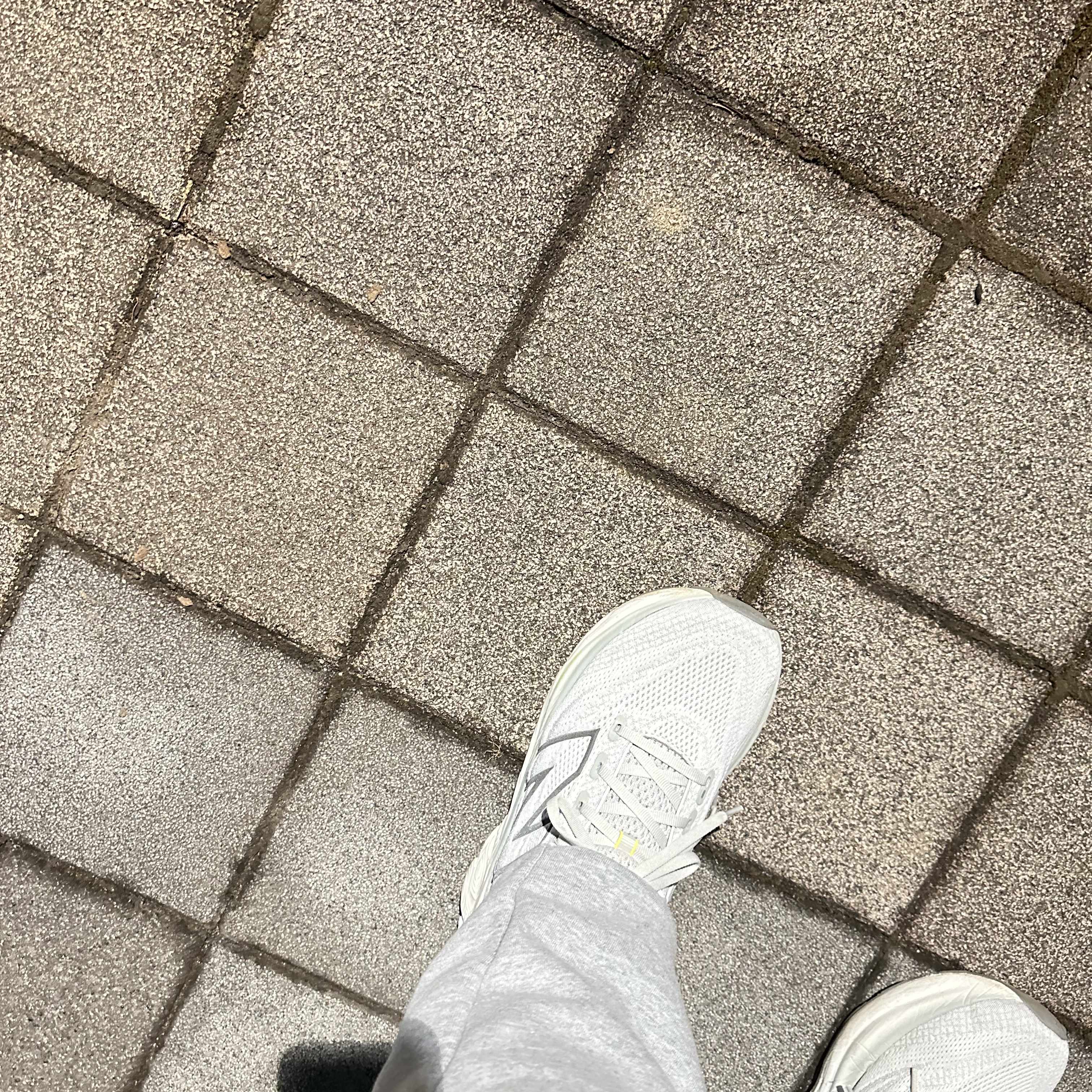 New Balance Fresh Foam X 1080v13 Grey Matter Shadow Grey - D Standard 착용 스타일