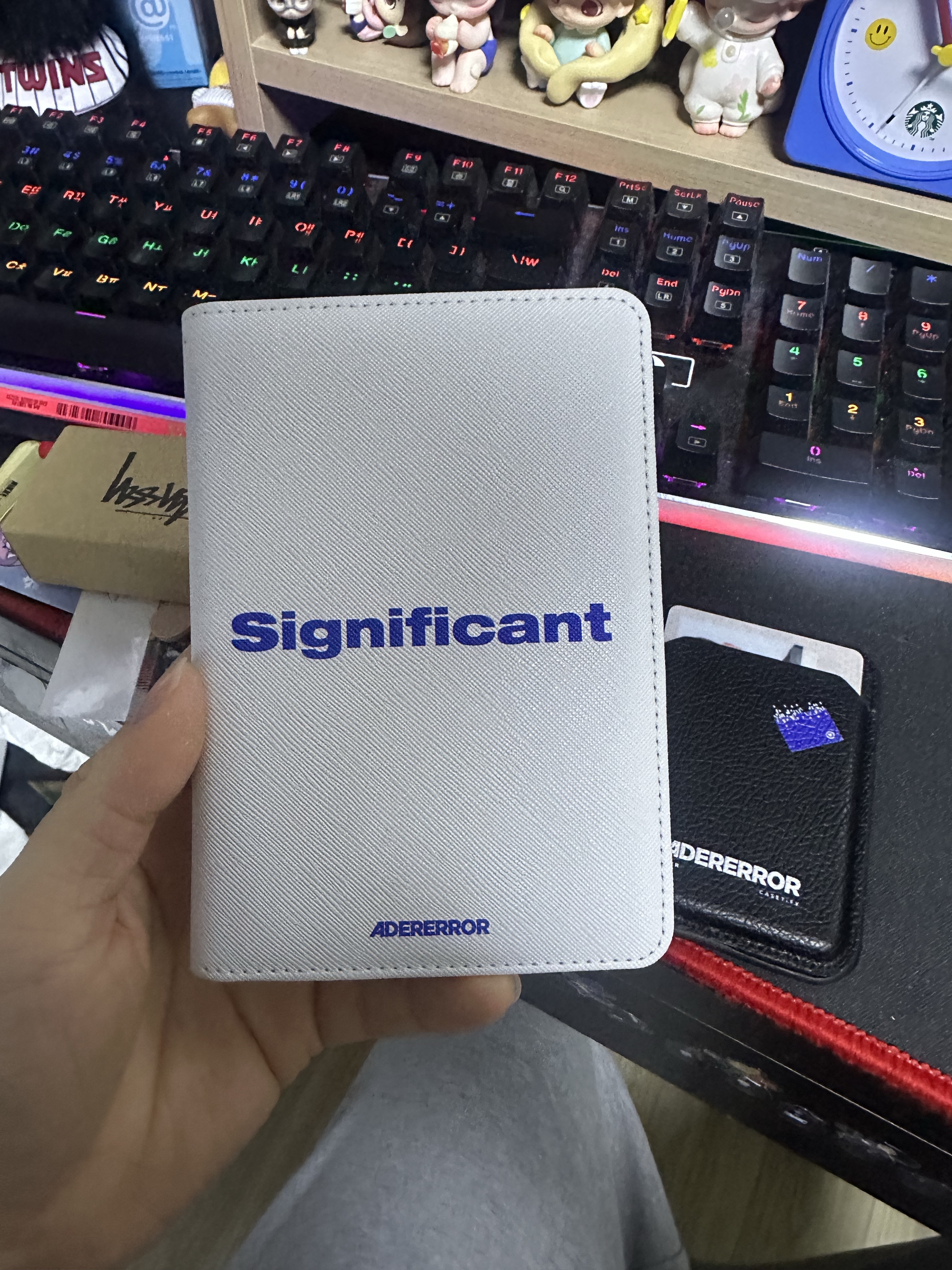 Ader Error Significant Passport Wallet White 착용 스타일