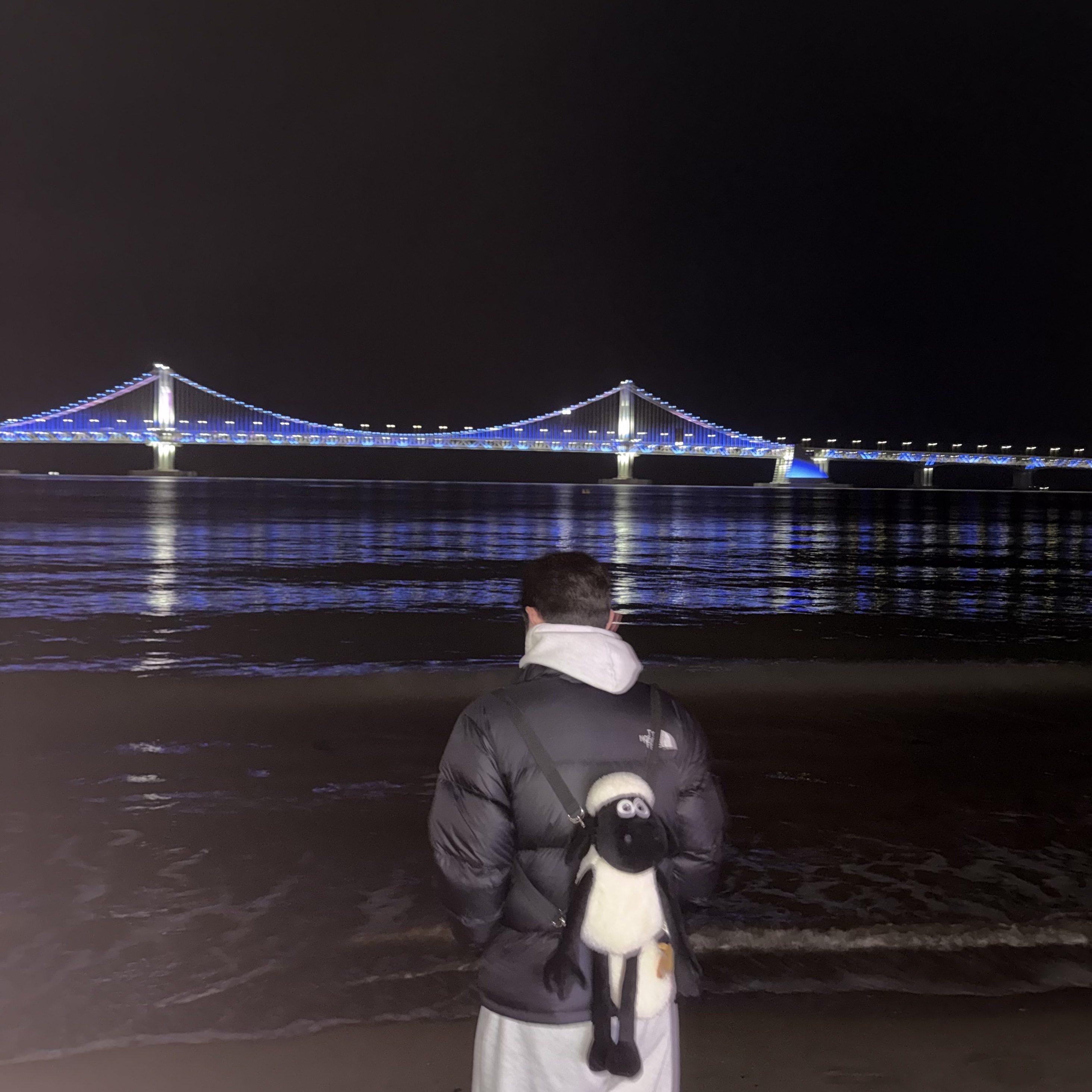 The North Face 1996 Retro Nuptse Jacket Black - 25FW, Sansan Gear x Samsung Lions Zip-Up Hoodie White 착용 스타일