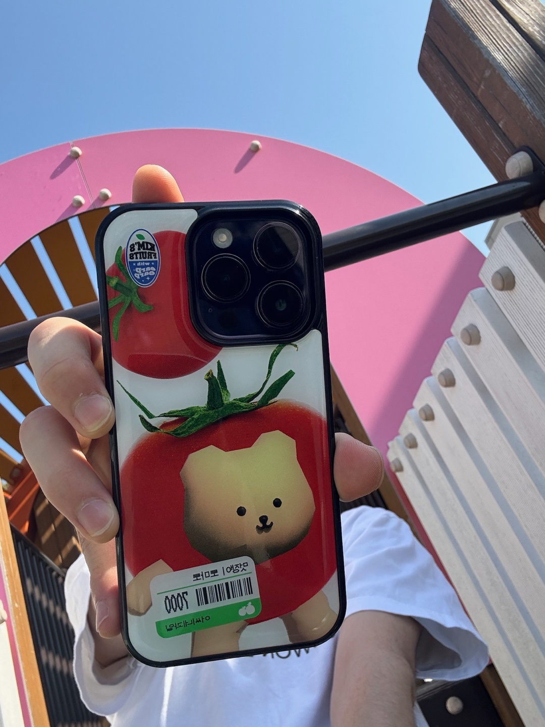 [EARPEARP X KIMS FRUITS] No Story Uploading Without Reading DMs MagSafe Acrylic Smart tok, [EARPEARP X KIMS FRUITS] Tomato Chic Epoxy Case MagSafe 착용 스타일 - 3