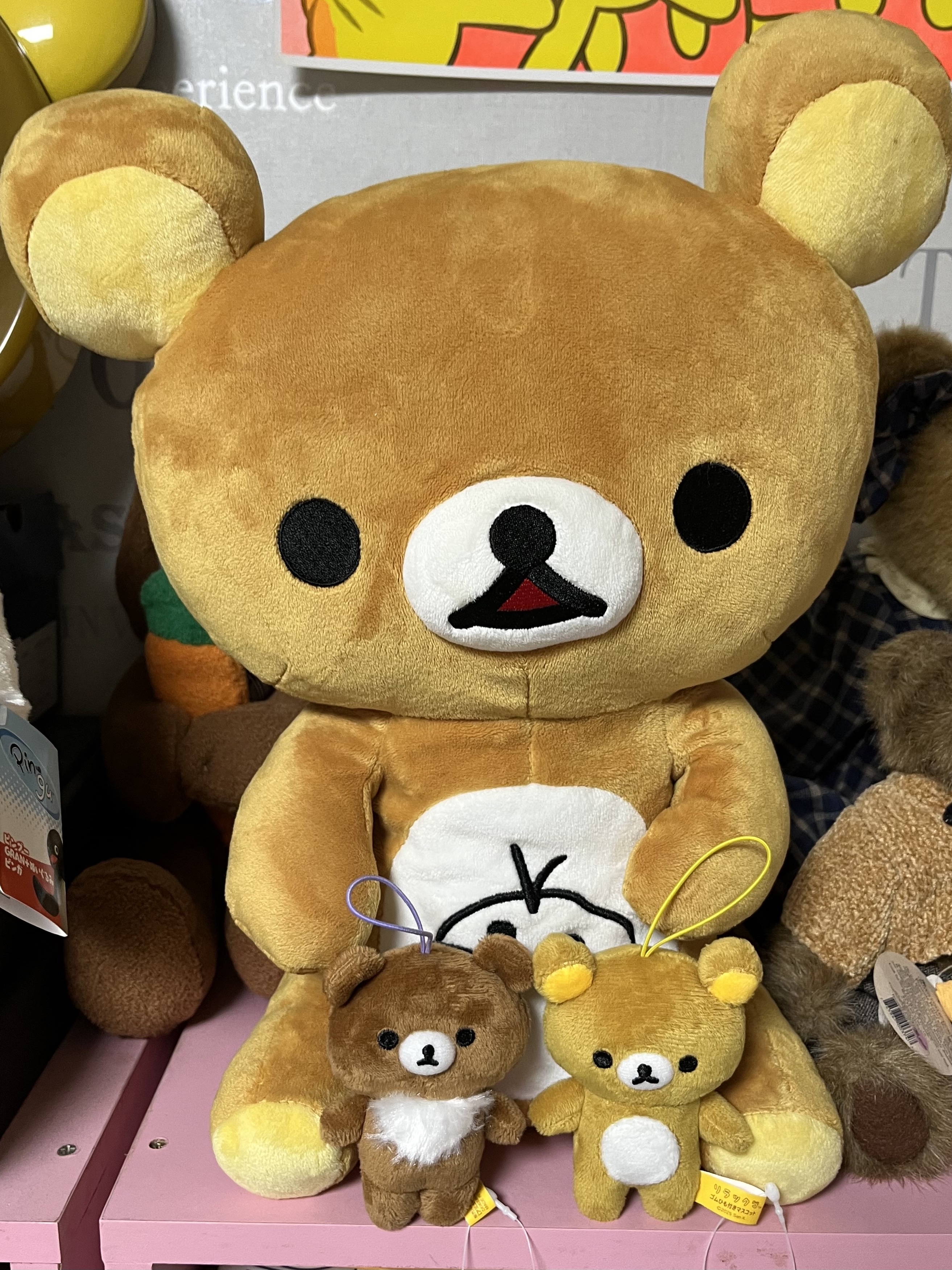 앨리스윤1004님의 스타일