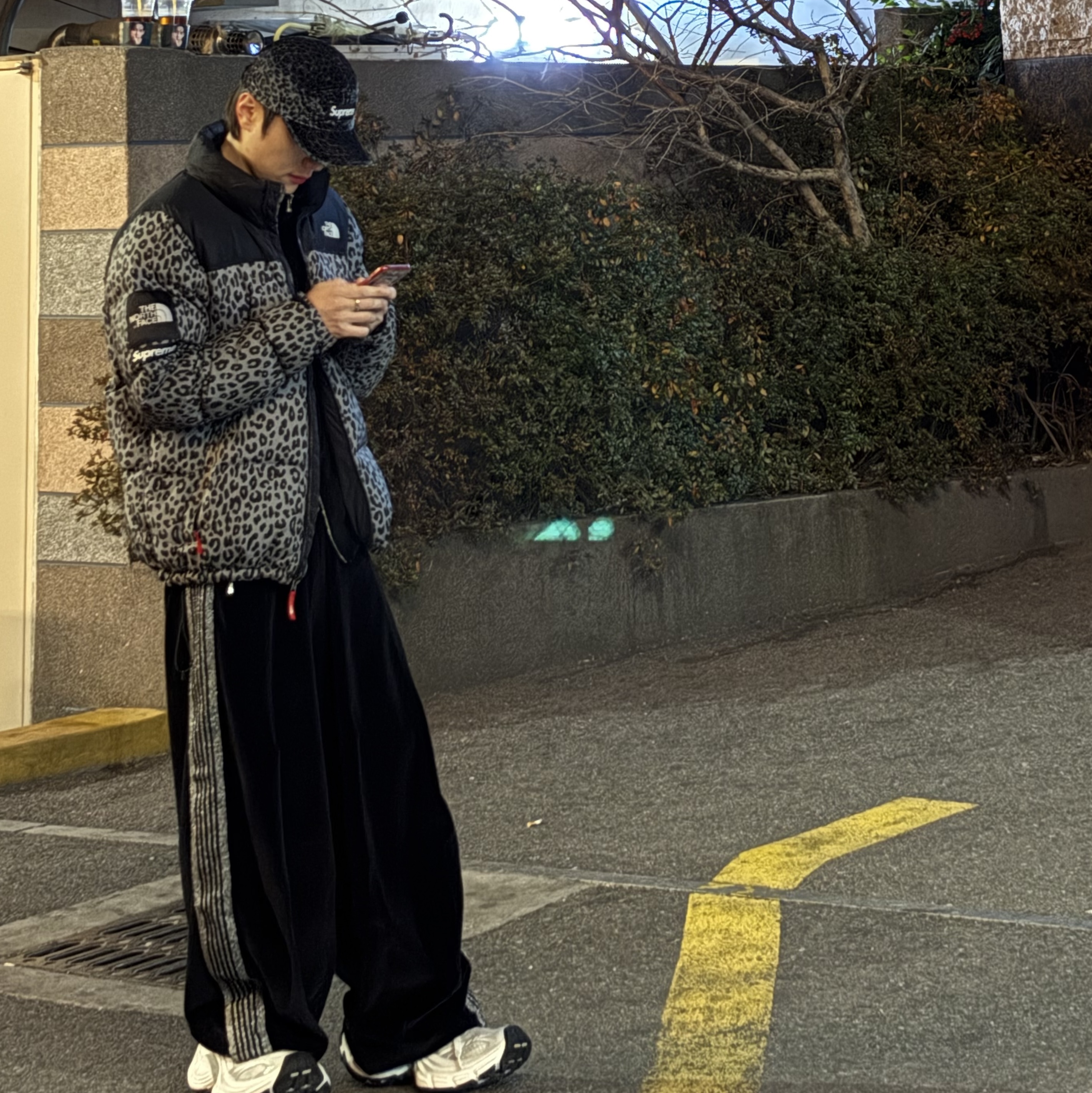 Supreme Leopard Velvet Camp Cap Black - 24SS, Needles x LHP Track Jacket C/PE Velour Black 착용 스타일