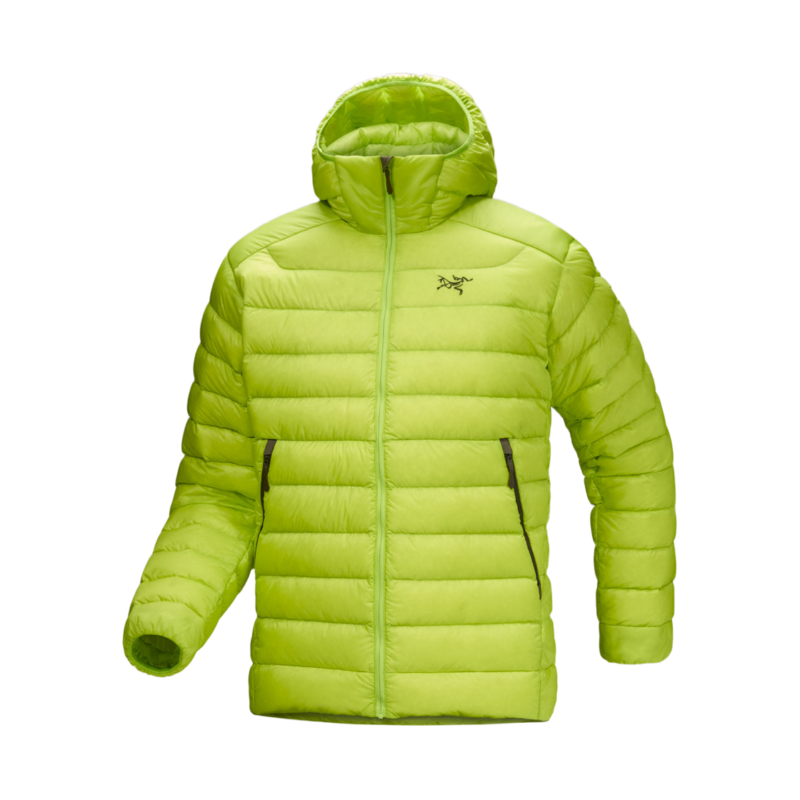 아크테릭스 세륨 후디 맨티스(Arc'teryx Cerium Hoody Mantis)
