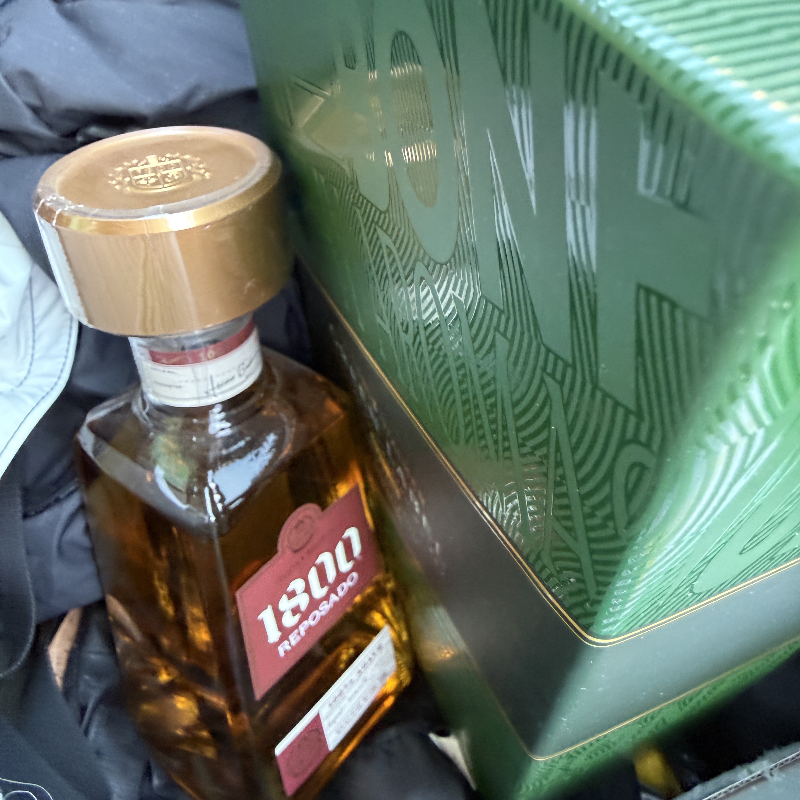 너구리님의 스타일