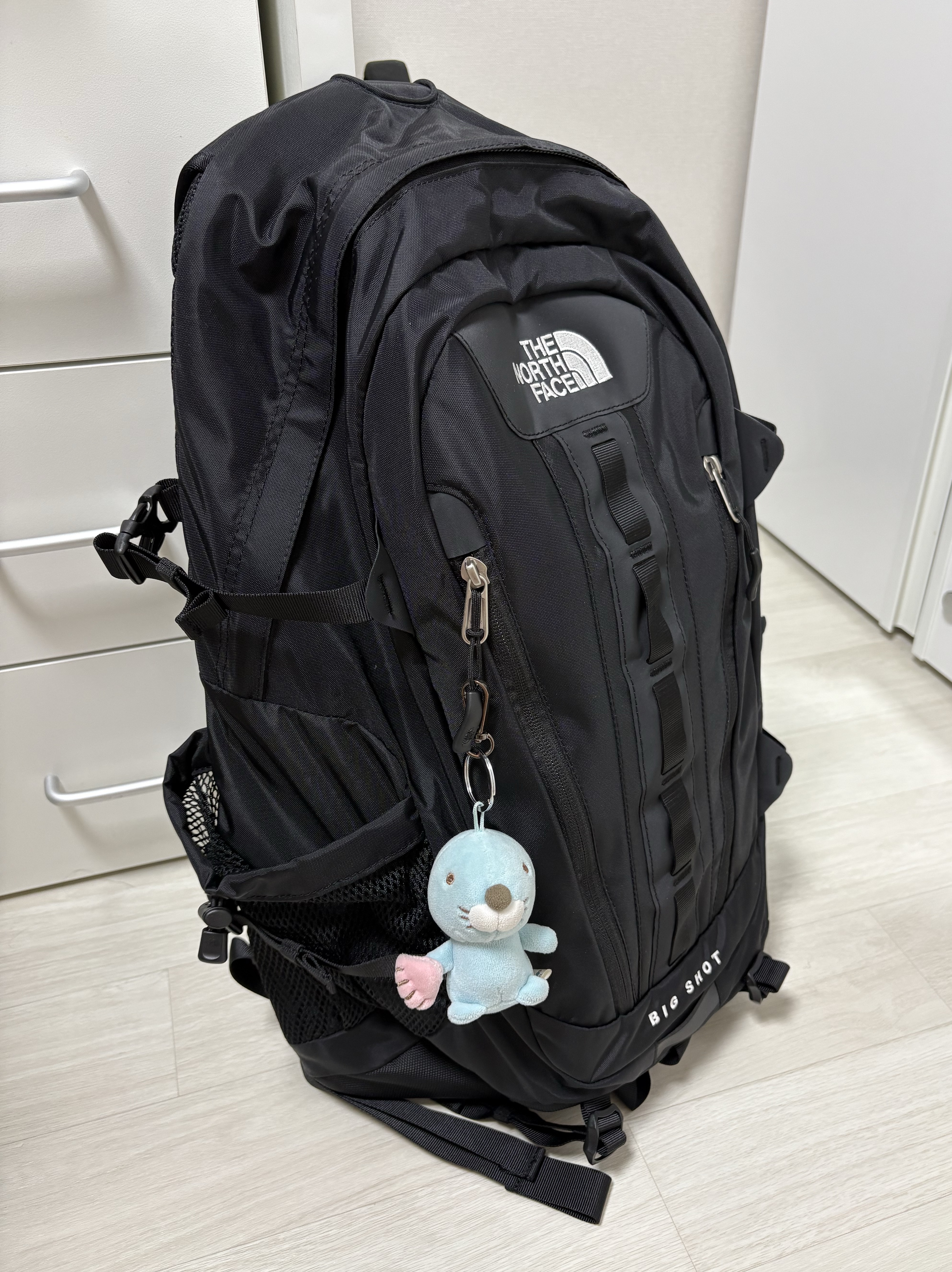 The North Face Big Shot Black 착용 스타일