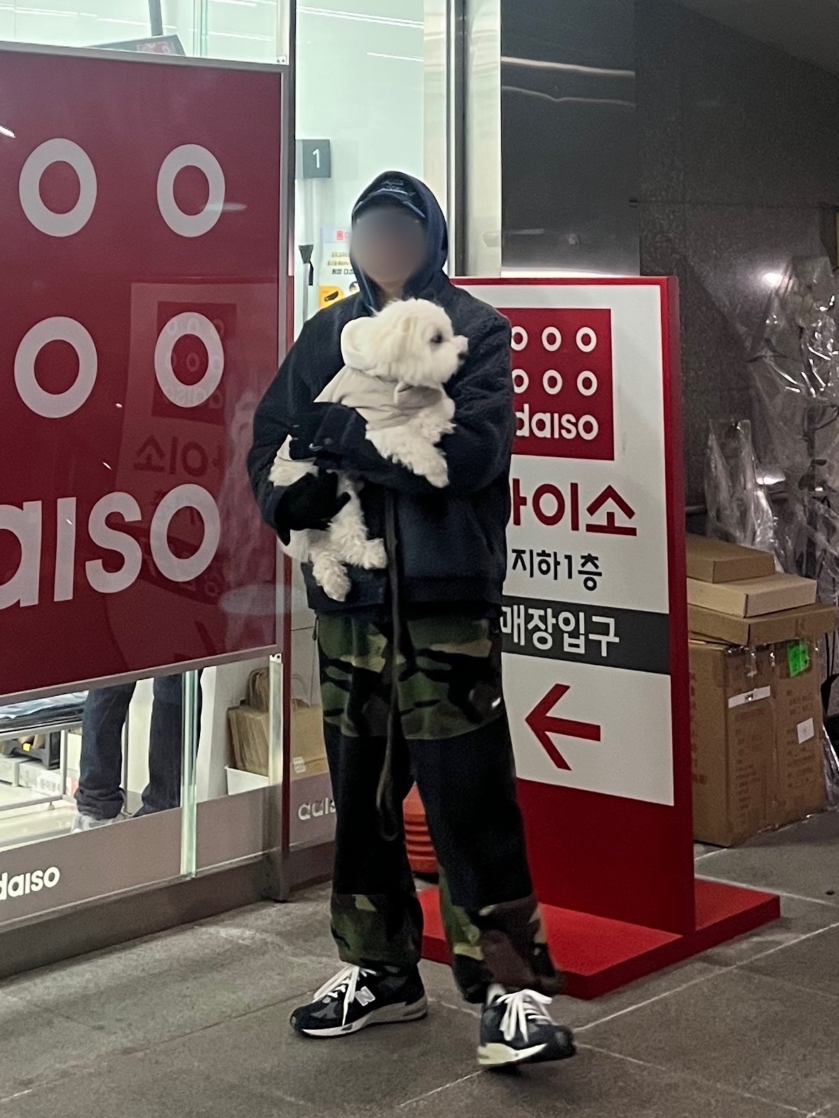 ์์
์ด๋ฏธ์ง