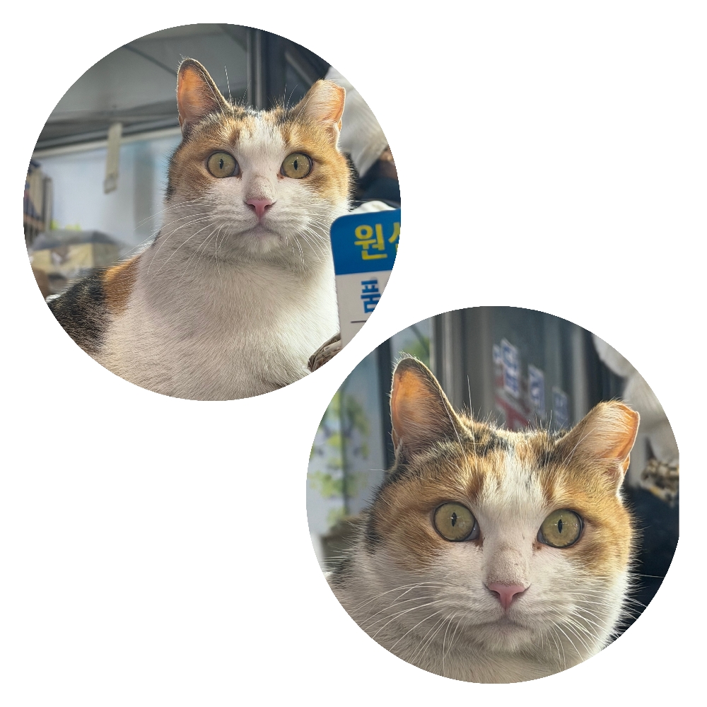 관심 유저 프로필 이미지