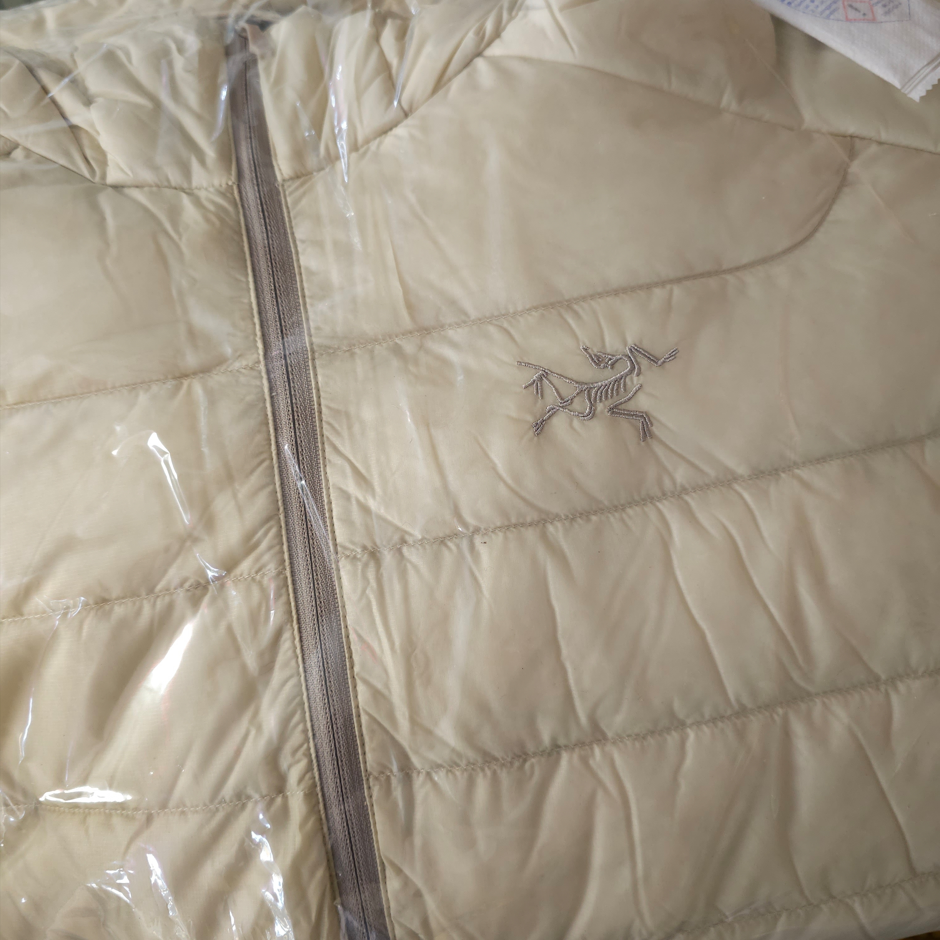 Arc'teryx Cerium Hoody Sea Salt 착용 스타일
