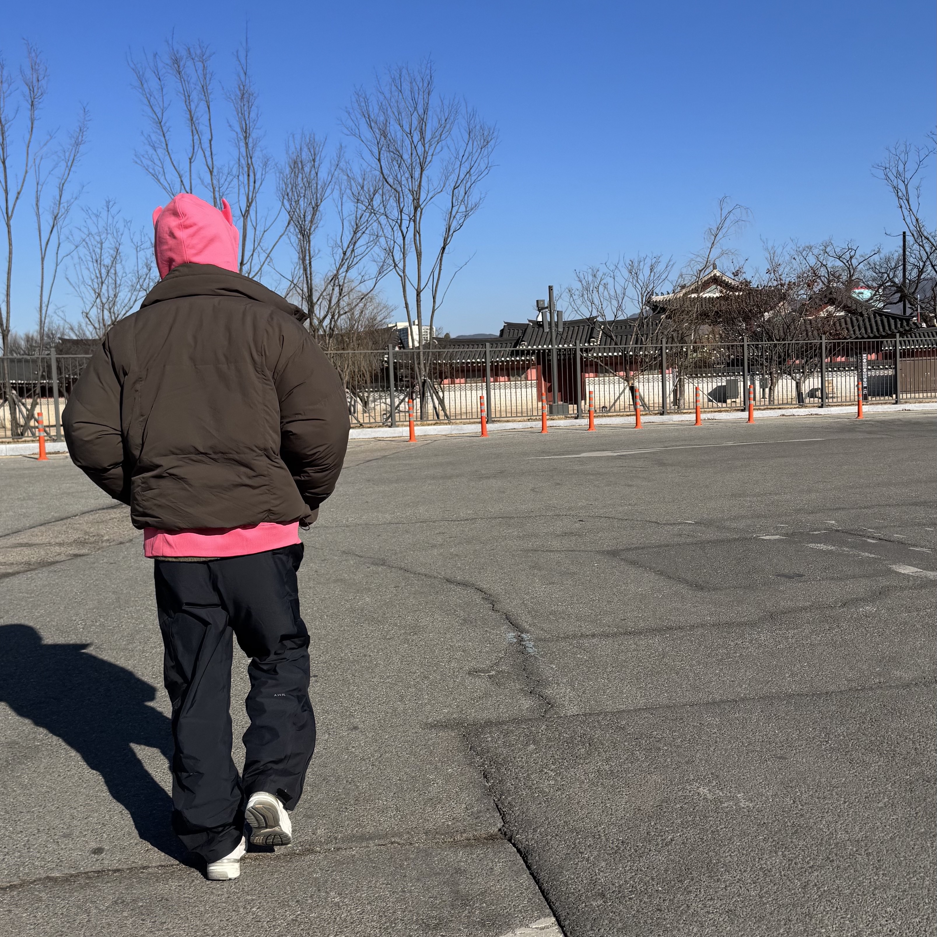 Palace x HIM Gram Hood Posh Pink - 25FW 착용 스타일 - 1