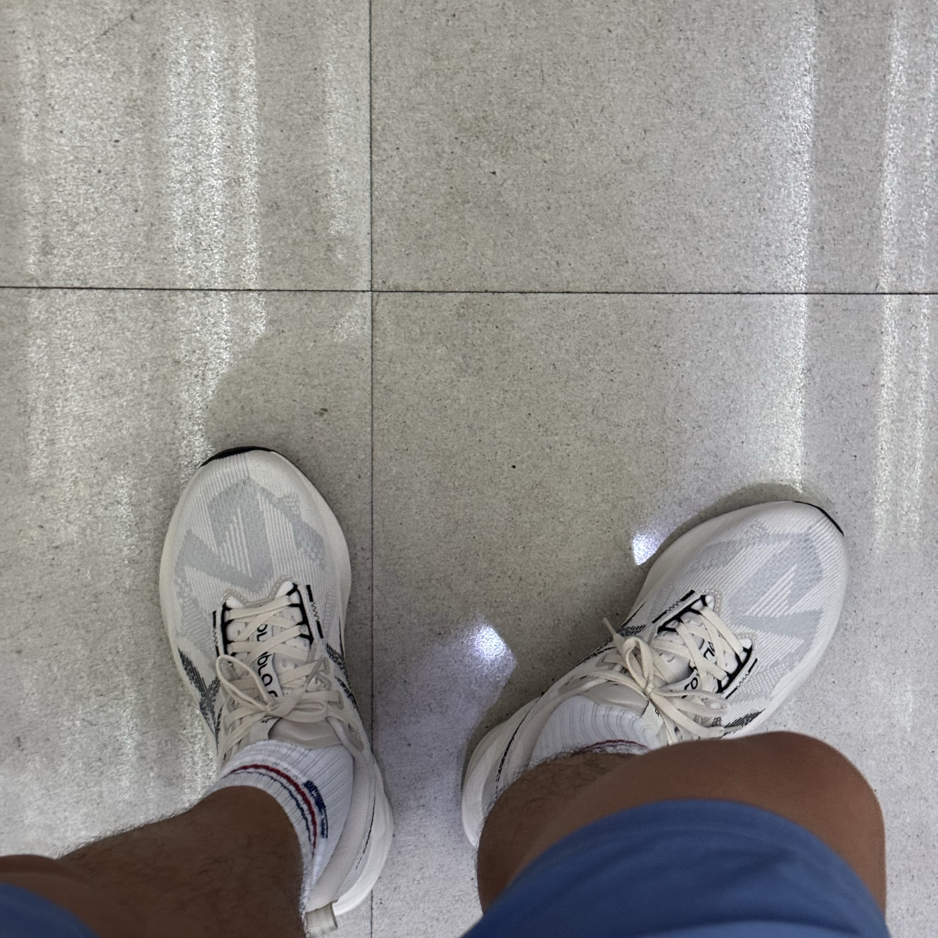 Asics Novablast 5 Oatmeal Black - D Standard 착용 스타일