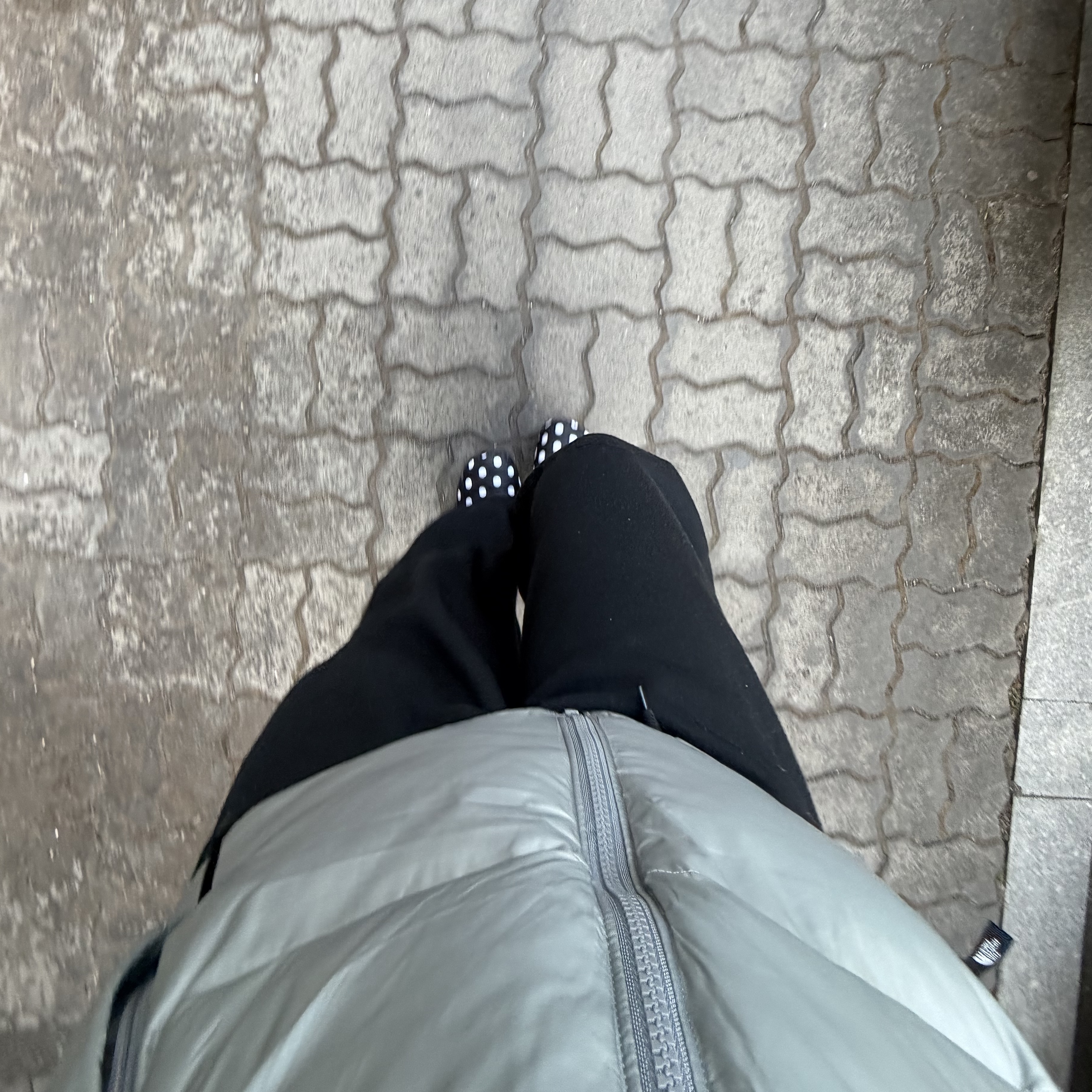 The North Face Nuptse On Ball Jacket Gray - 24FW, Subu Permanent F-Line Dots 착용 스타일 - 4