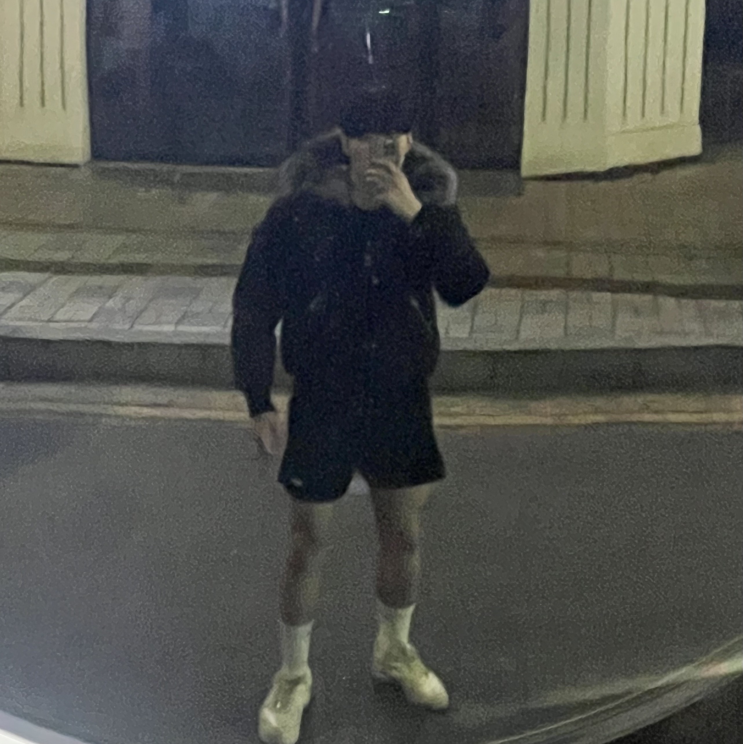 Mackage Dixon 2-In-1 Nordic Tech Down Bomber with Silver Fox Fur Black Silver, Nike Dri-Fit Challenger 5 Inch Brief Lined Versatile Shorts Black - Asia 착용 스타일 - 2