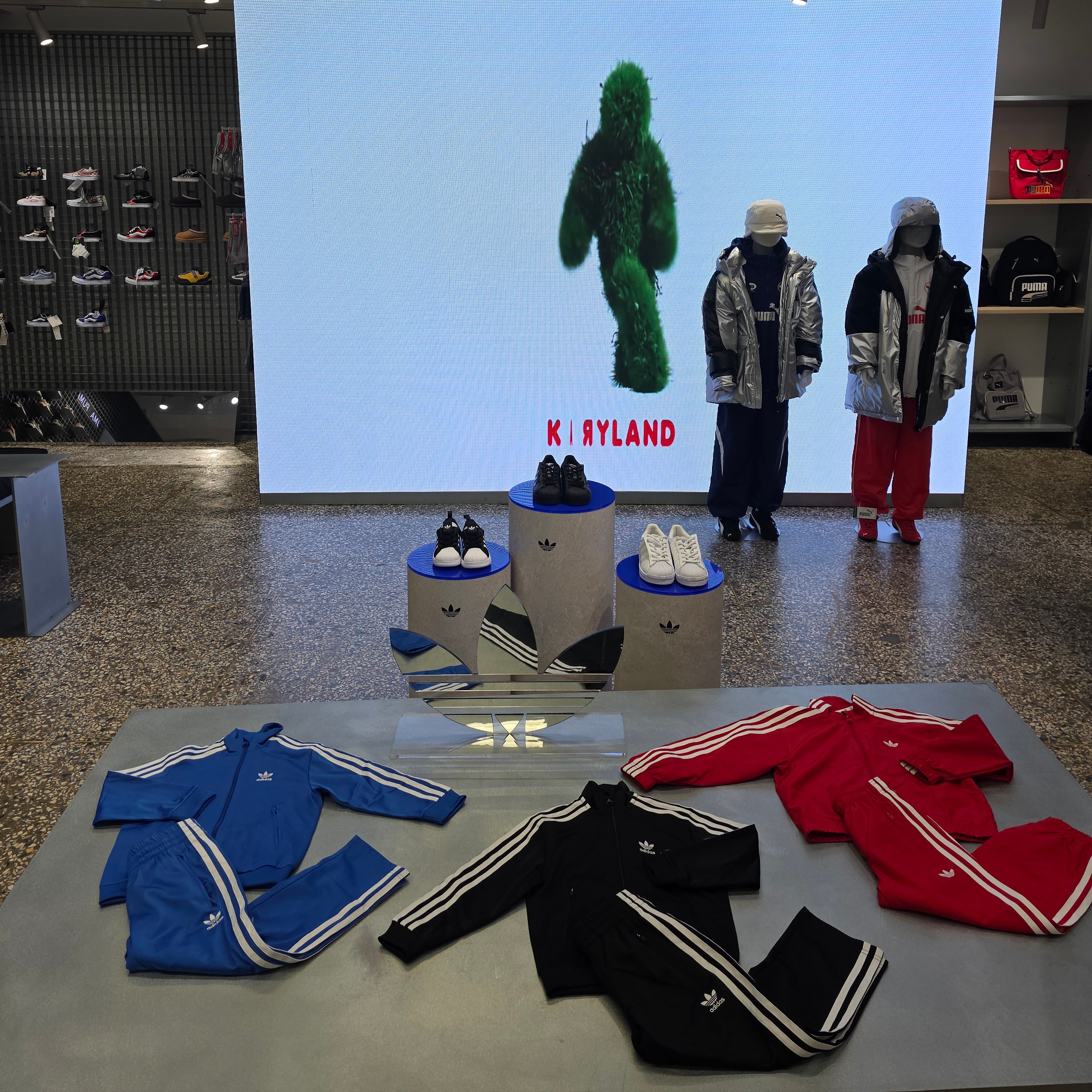 Adidas Originals Adicolor Classics Firebird Track Top Semi Lucid Blue - KR Sizing, (W) Adidas Originals Adicolor Classics Lock-Up Track Jacket Black - KR Sizing 착용 스타일