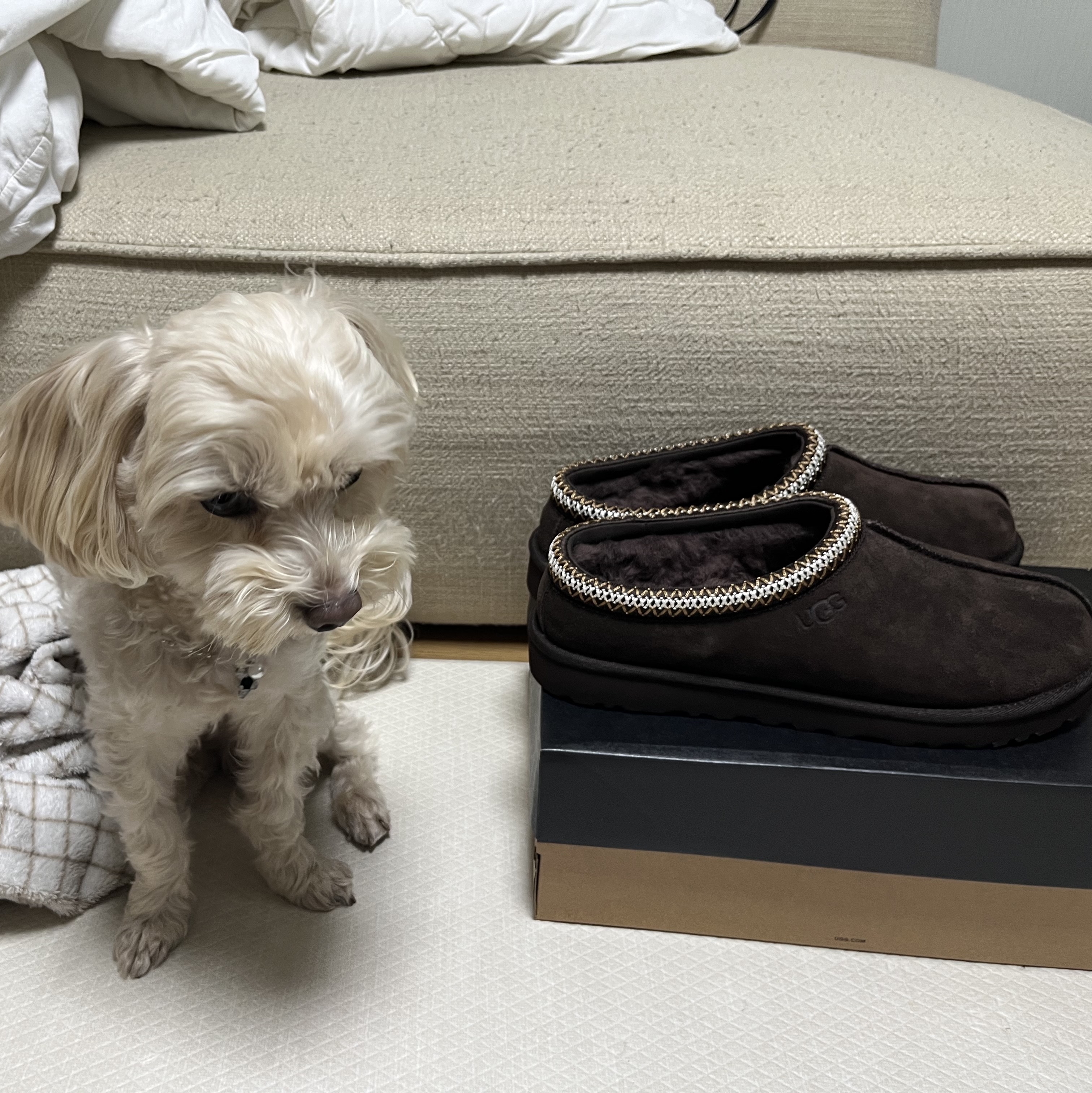 UGG Tasman Slipper Chocolate 착용 스타일 - 2