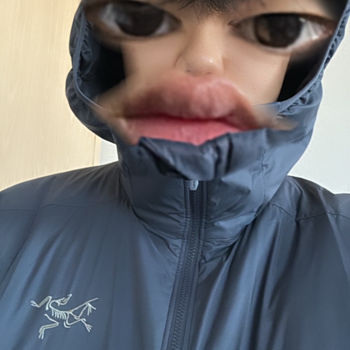 Arc'teryx Atom Hoody Black Sapphire 착용 스타일
