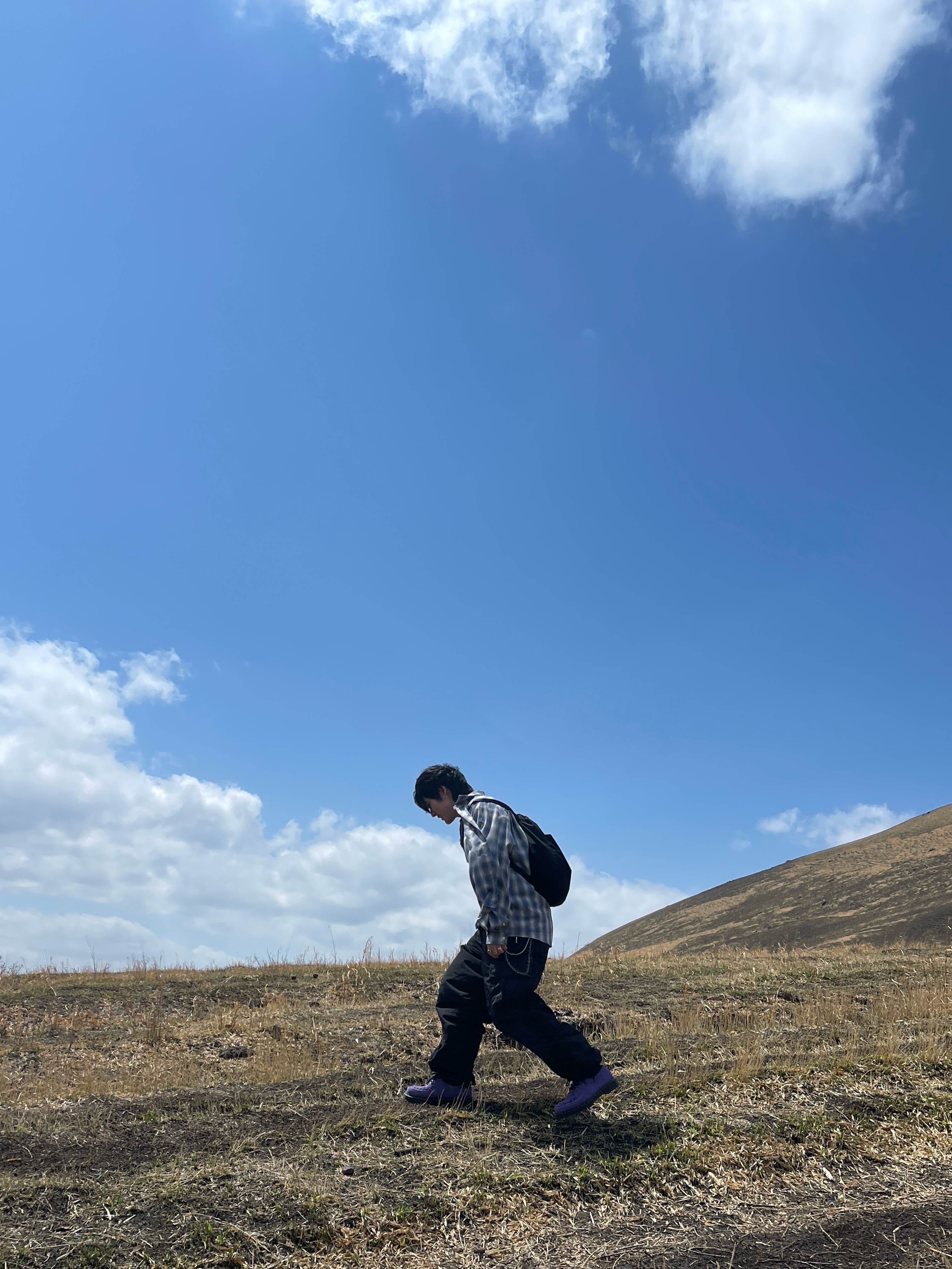 Dr. Martens Ramsey Woven Suede Creepers Twilight Purple, The North Face Purple Label Mountain Wind Day Pack Black 착용 스타일 - 8