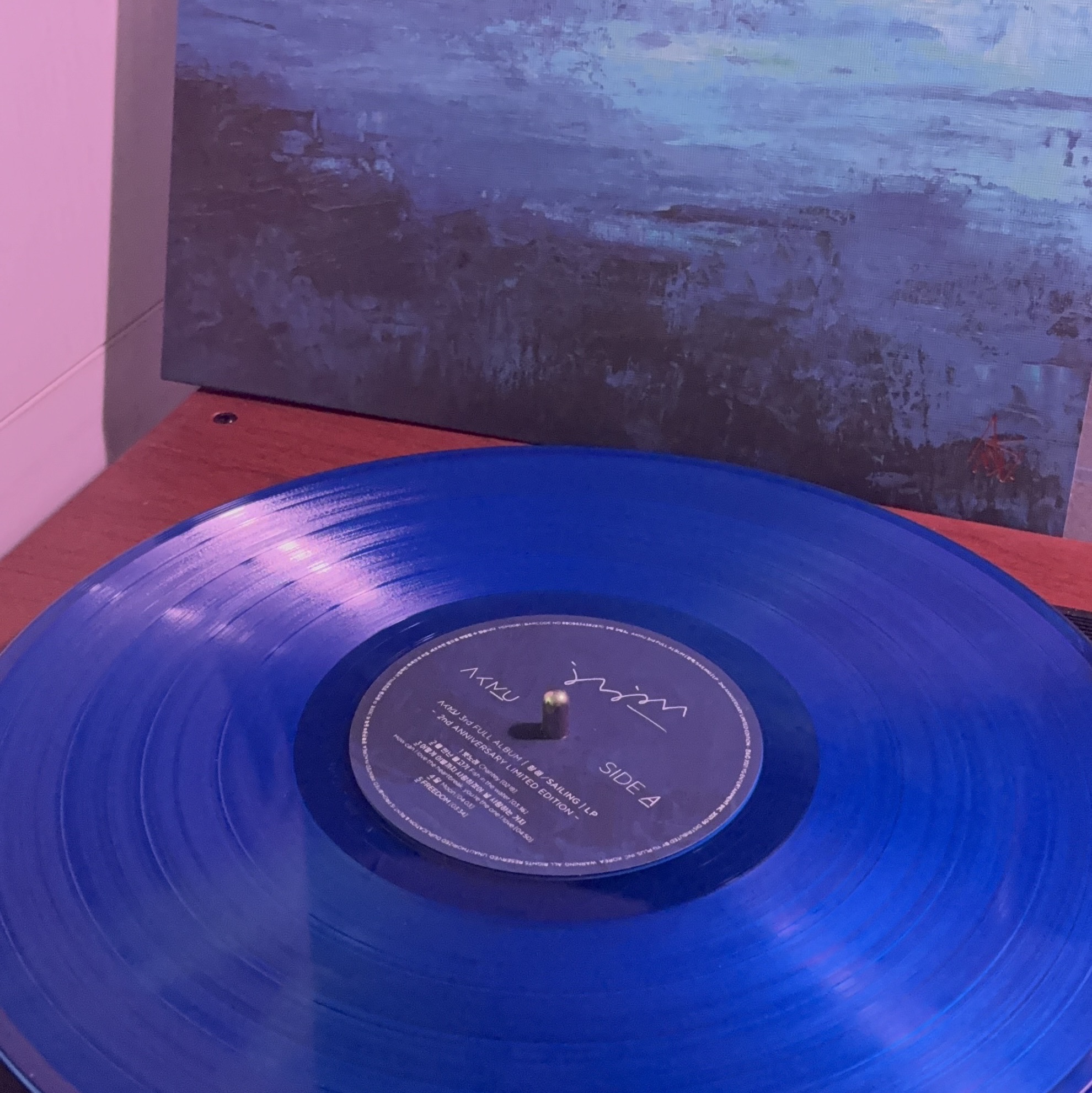 AKMU Sailing 2nd Anniversary Limited Edition LP Clear Blue 착용 스타일
