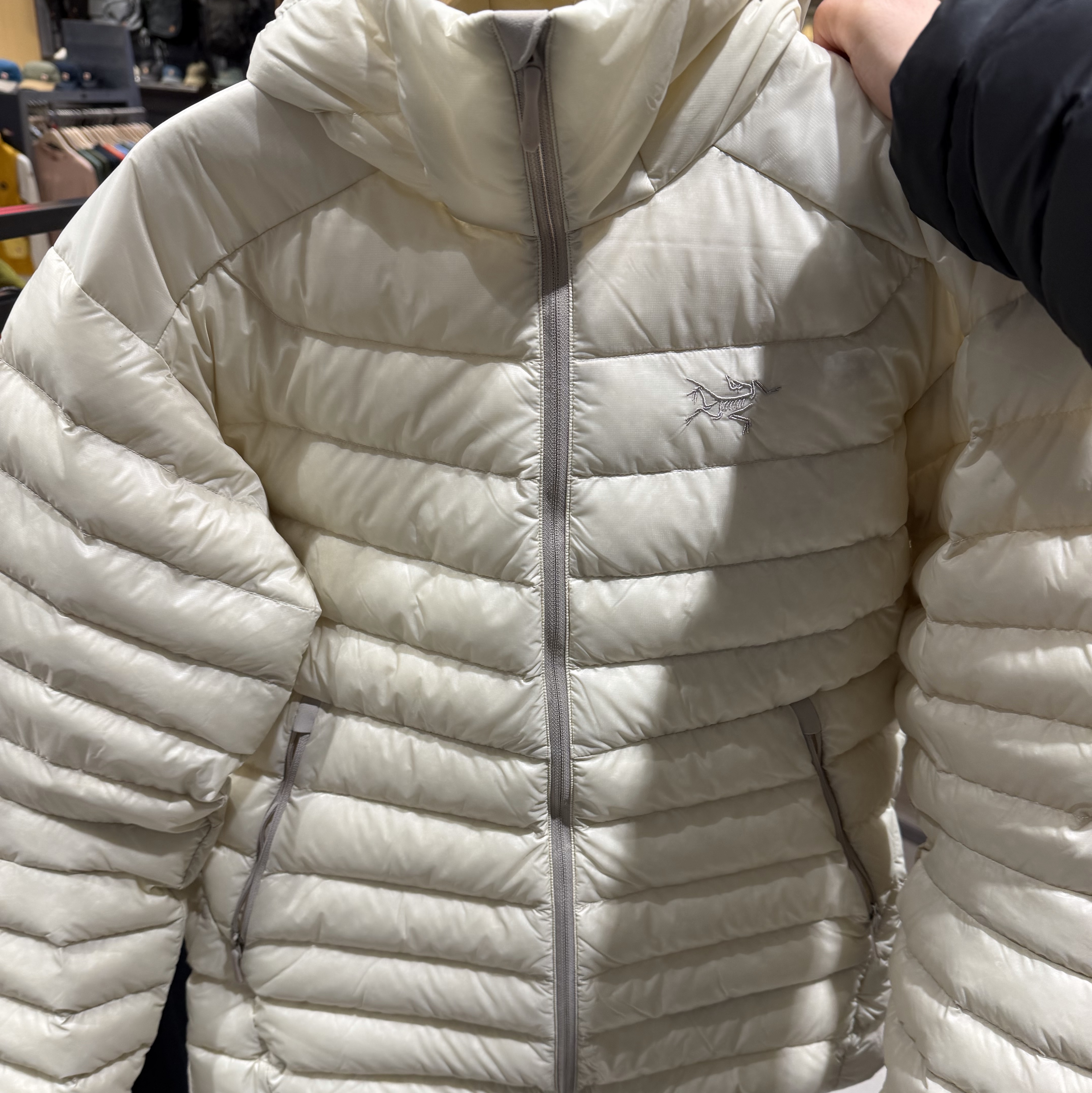 Arc'teryx Cerium Hoody Sea Salt 착용 스타일