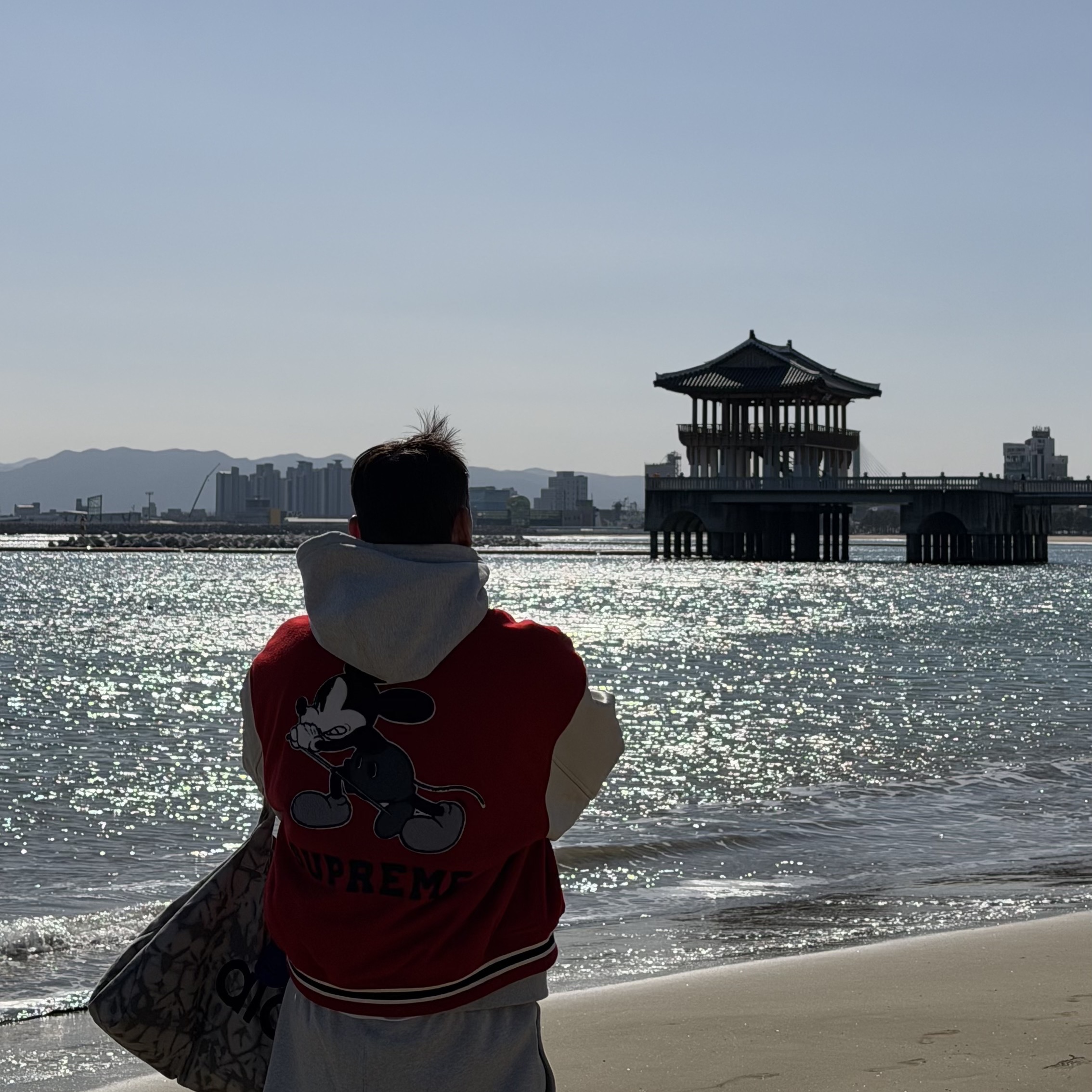 Supreme x Number (N)ine x Mickey Mouse Varsity Jacket Red - 25FW, Alo Yoga Iconic Shopper Tote Bag Grey Tiedye μ°©μ© μ€νμΌ - 5