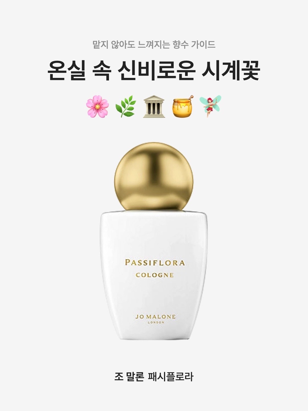 Jo Malone Passiflora Cologne 30ml 착용 스타일 - 1