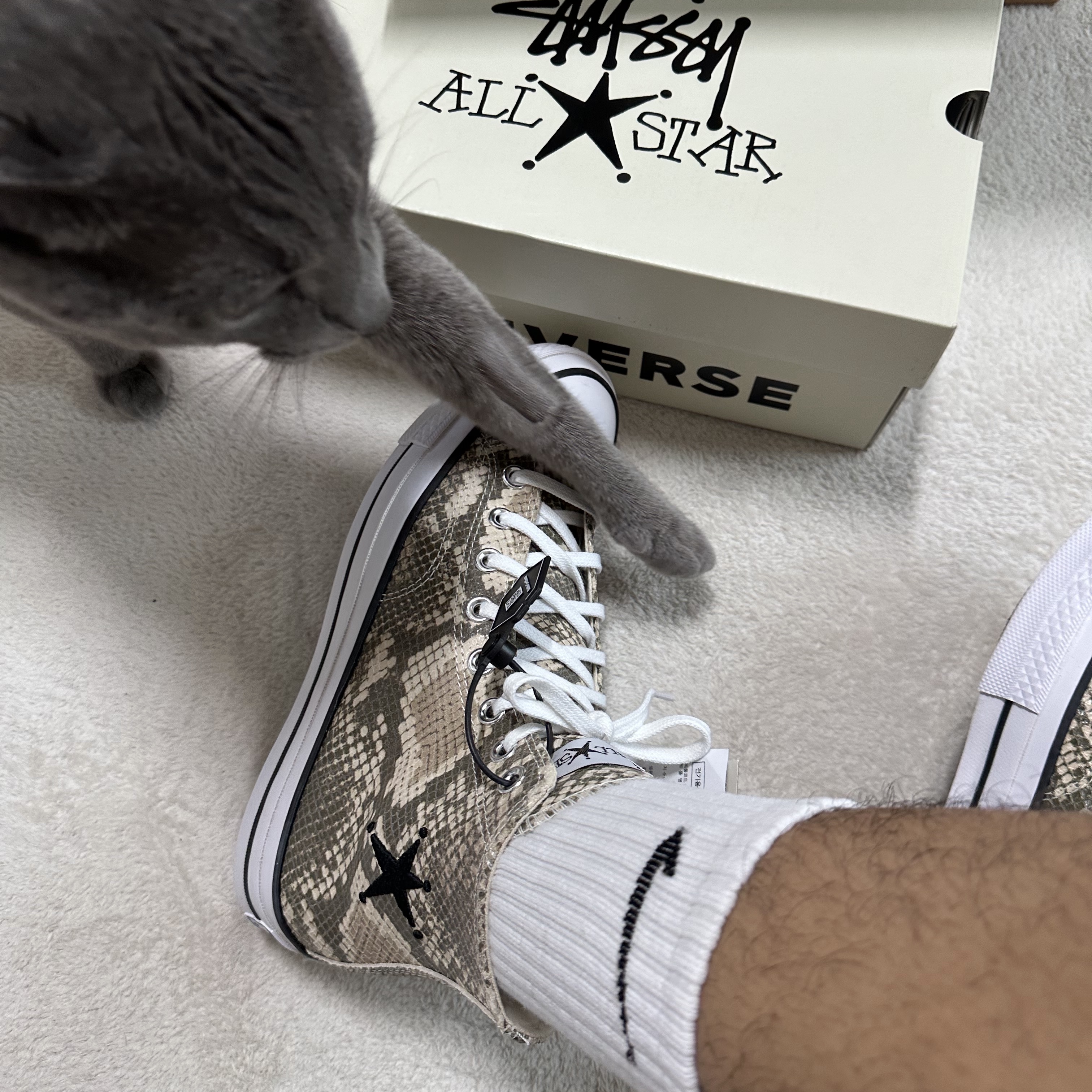 Converse x Stussy Chuck 70 High Leather Snakeskin 착용 스타일 - 3