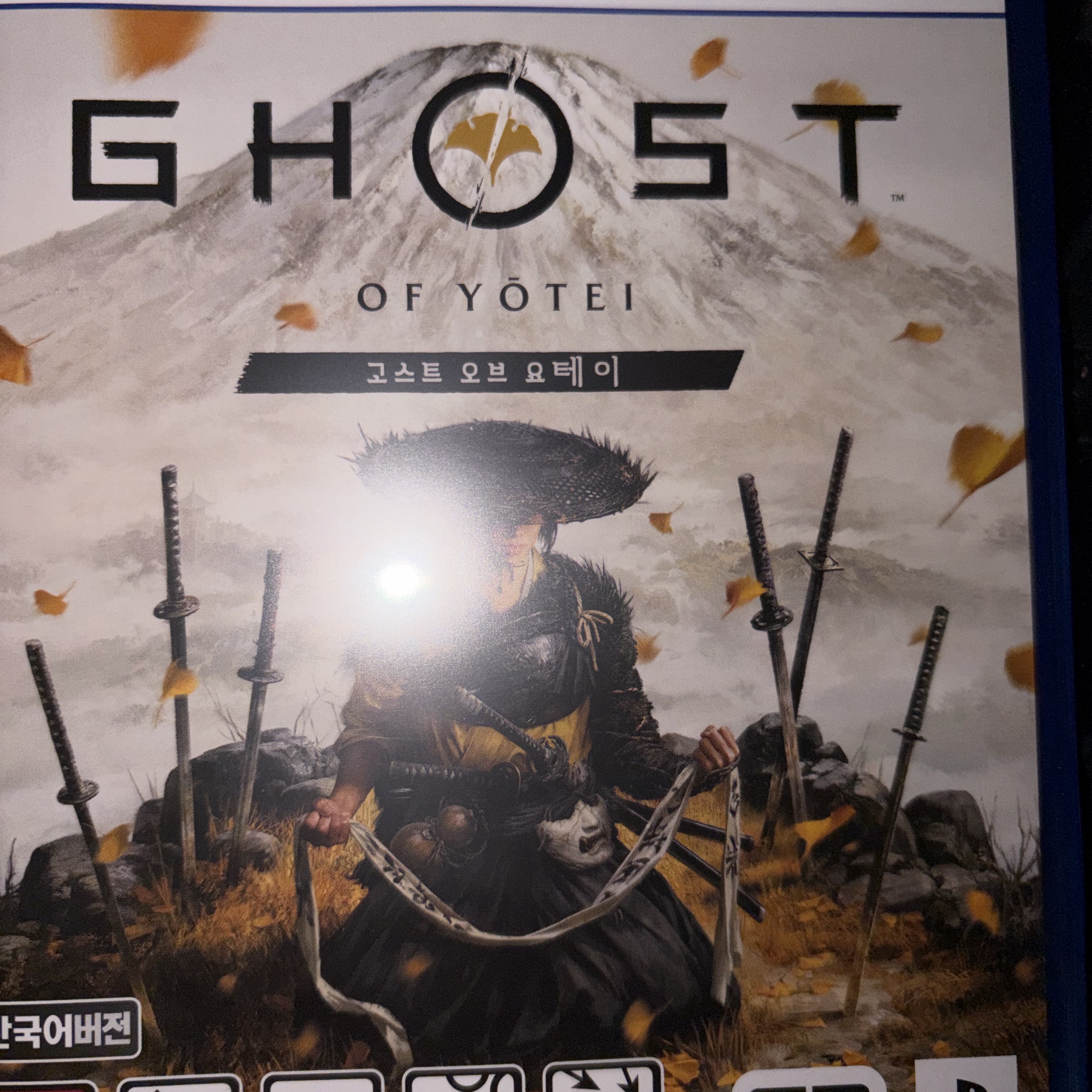 PlayStation 5 Ghost of Yotei 착용 스타일