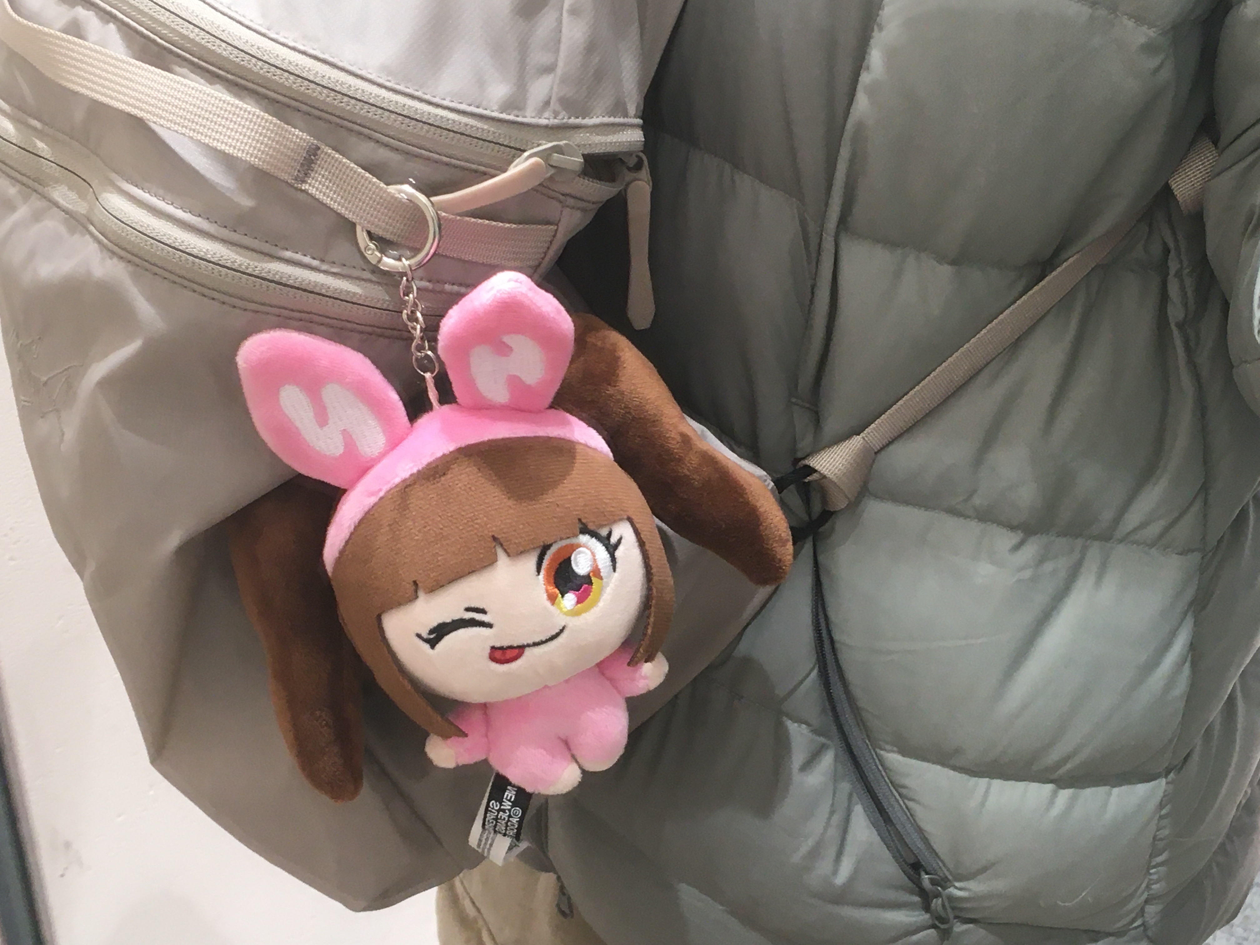 Arc'teryx Heliad 15 Backpack Rune, NewJeans x Murakami Plush Keyring Hanni 착용 스타일