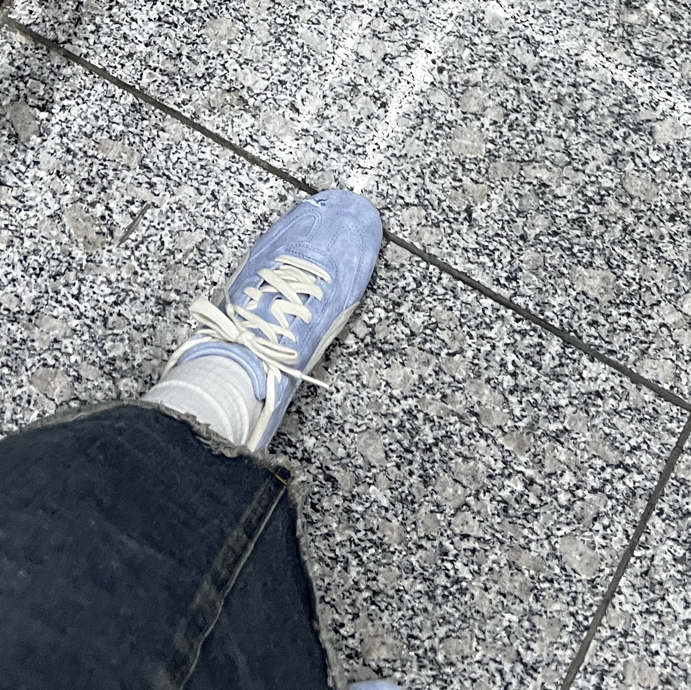 Puma Speedcat Faded Haute Tropic Alpine Snow 착용 스타일 - 1