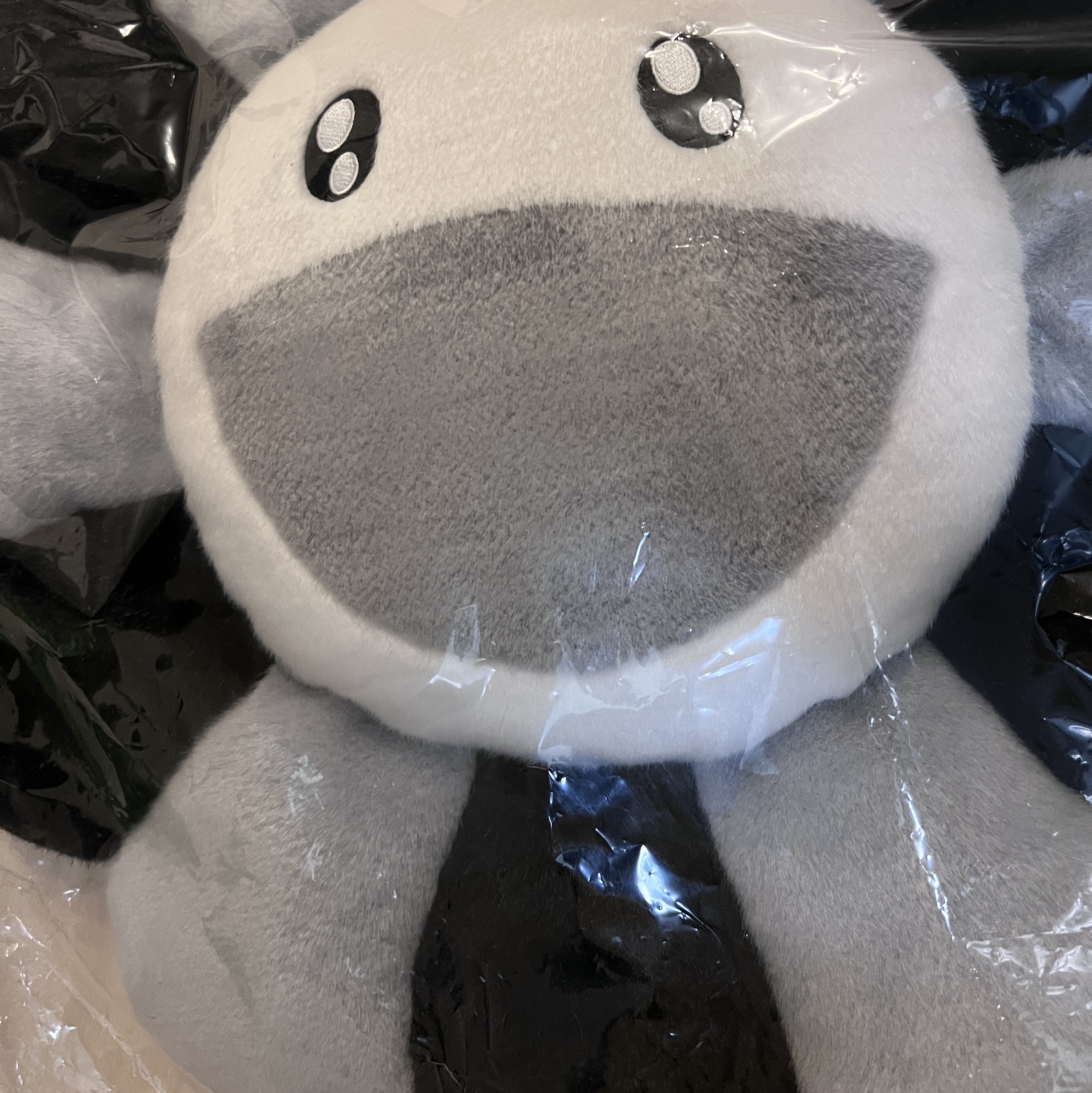 Kaikai Kiki Flower Cushion 60cm Grey Black 착용 스타일