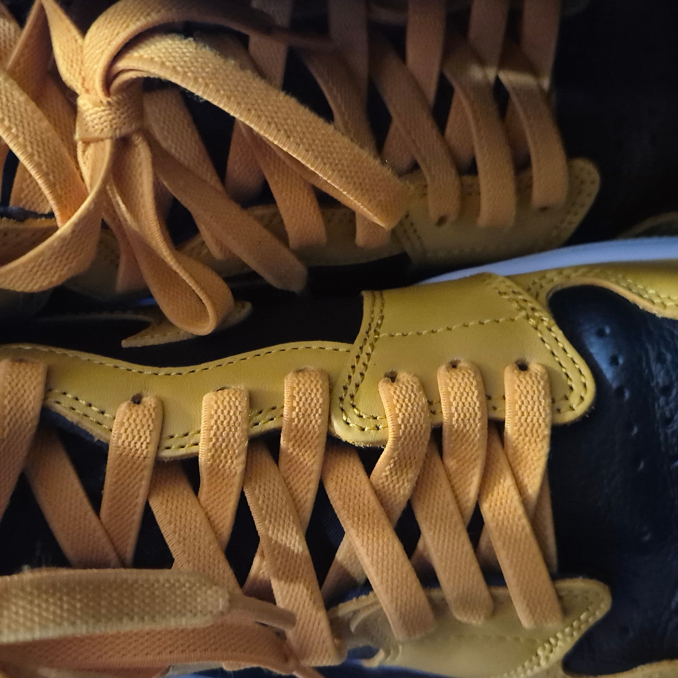 Jordan 1 Retro High OG Pollen 착용 스타일