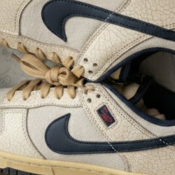 Nike x Stranger Things Dunk Low Phantom and Midnight Navy 착용 스타일