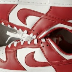 Nike Dunk Low Retro Gym Red 착용 스타일
