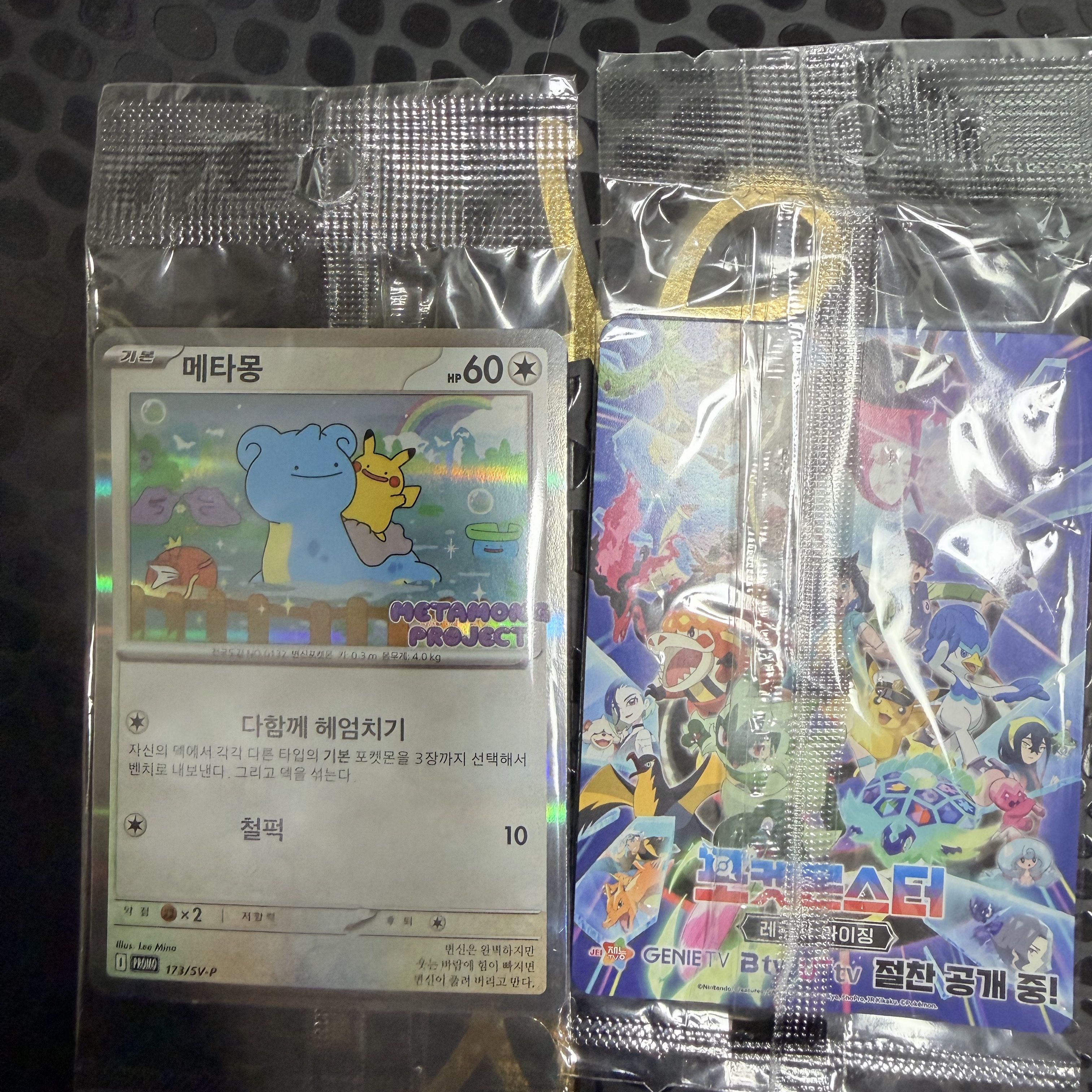 Pokemon TCG Ditto's Time Capsule Promo Card Ditto 착용 스타일