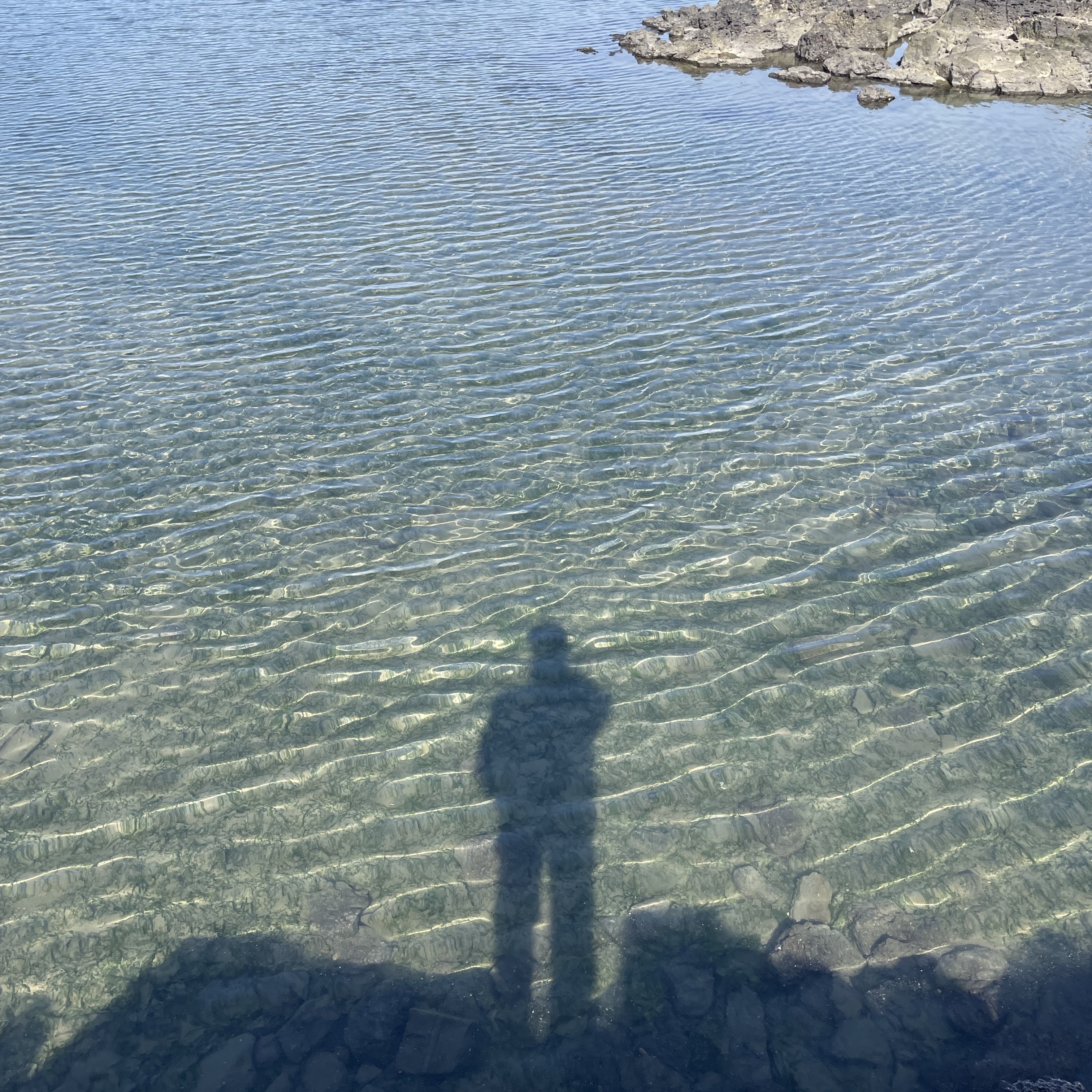 Thom Browne Milano Stitch 4-Bar Cardigan Navy, Thom Browne Sustainable Fine Merino Wool 4-Bar Classic Cardigan Navy 착용 스타일 - 3