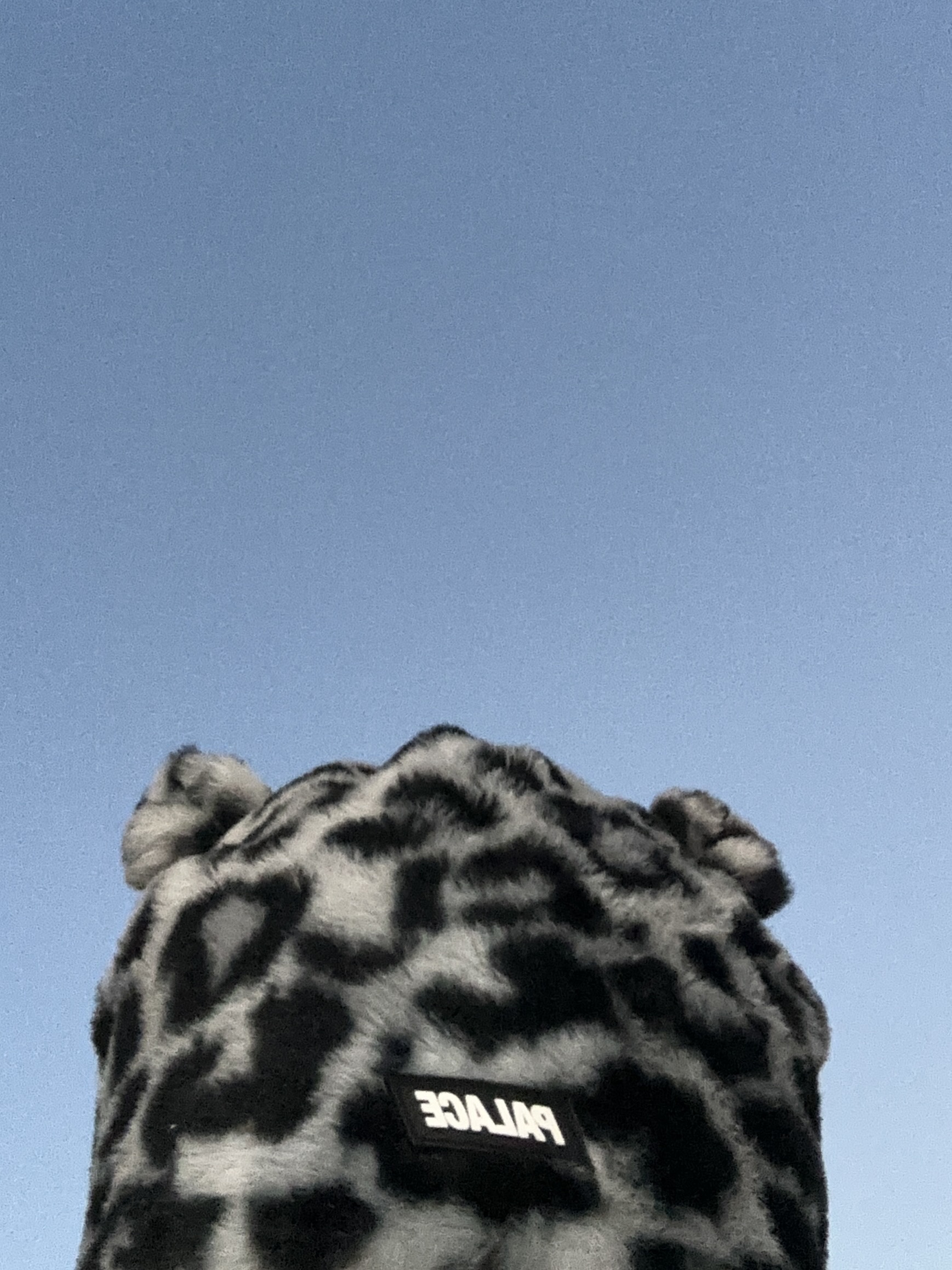 Palace Furry Ears Nein Cuff Beanie Snow Leopard - 24FW 착용 스타일