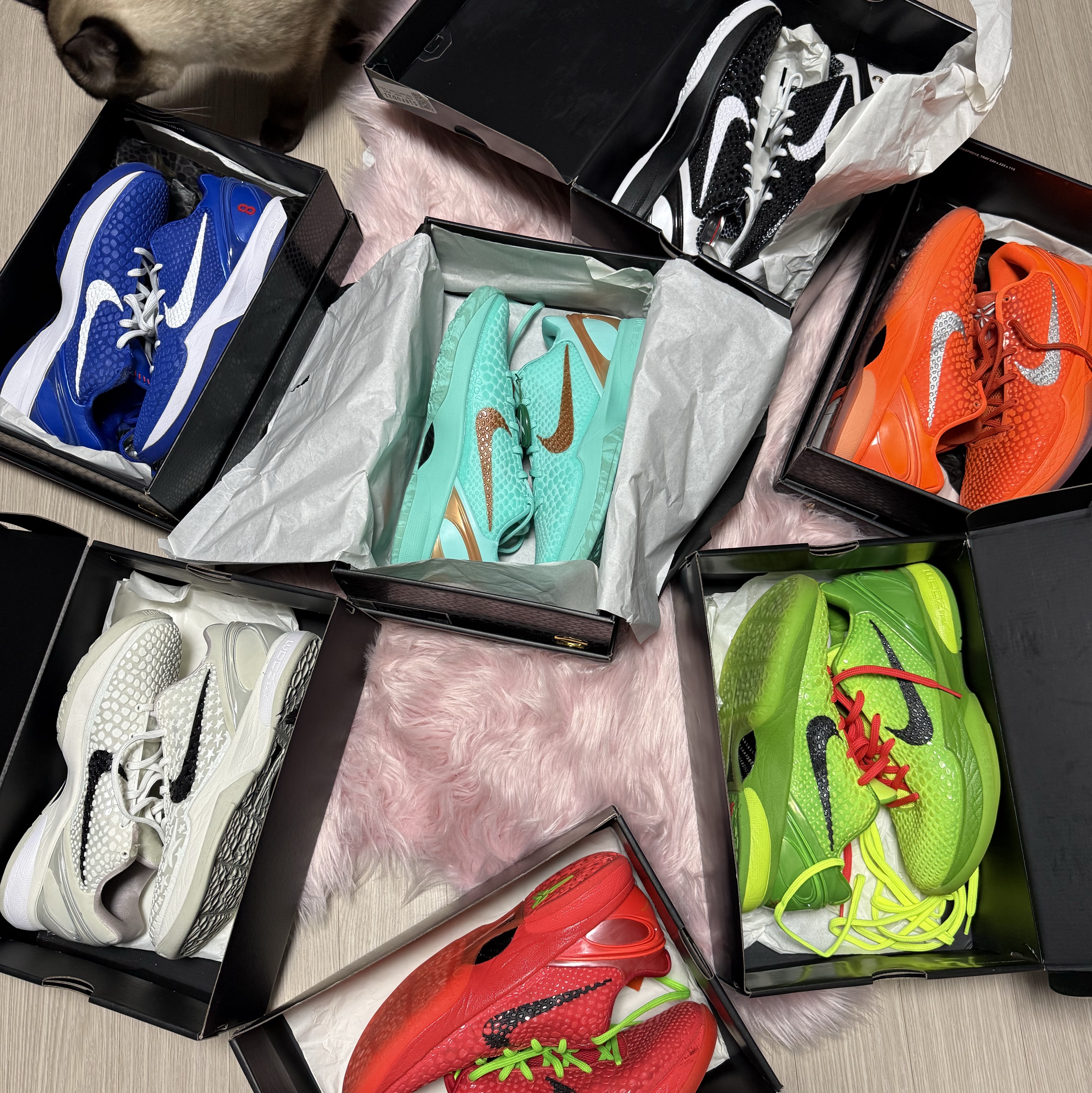 Nike Kobe 6 Protro Total Orange, Nike Kobe 6 Protro Sail 착용 스타일