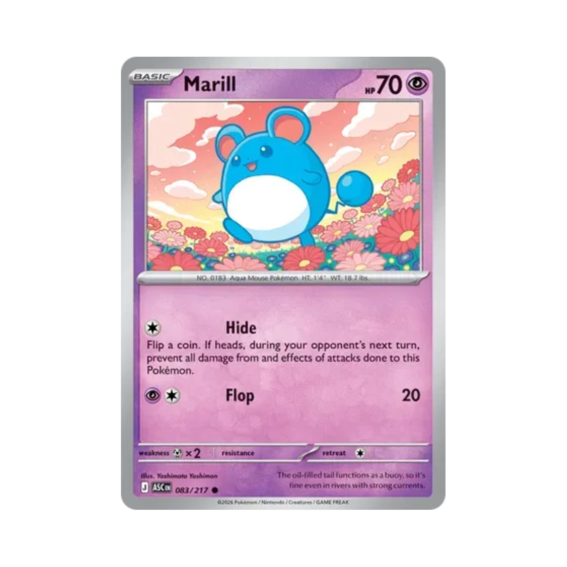 포켓몬 TCG 마릴 C 메가 에볼루션 어센드 히어로즈 (영문판)(Pokemon TCG Marill C Mega Evolution Ascended Heroes (English Ver.)) - 1