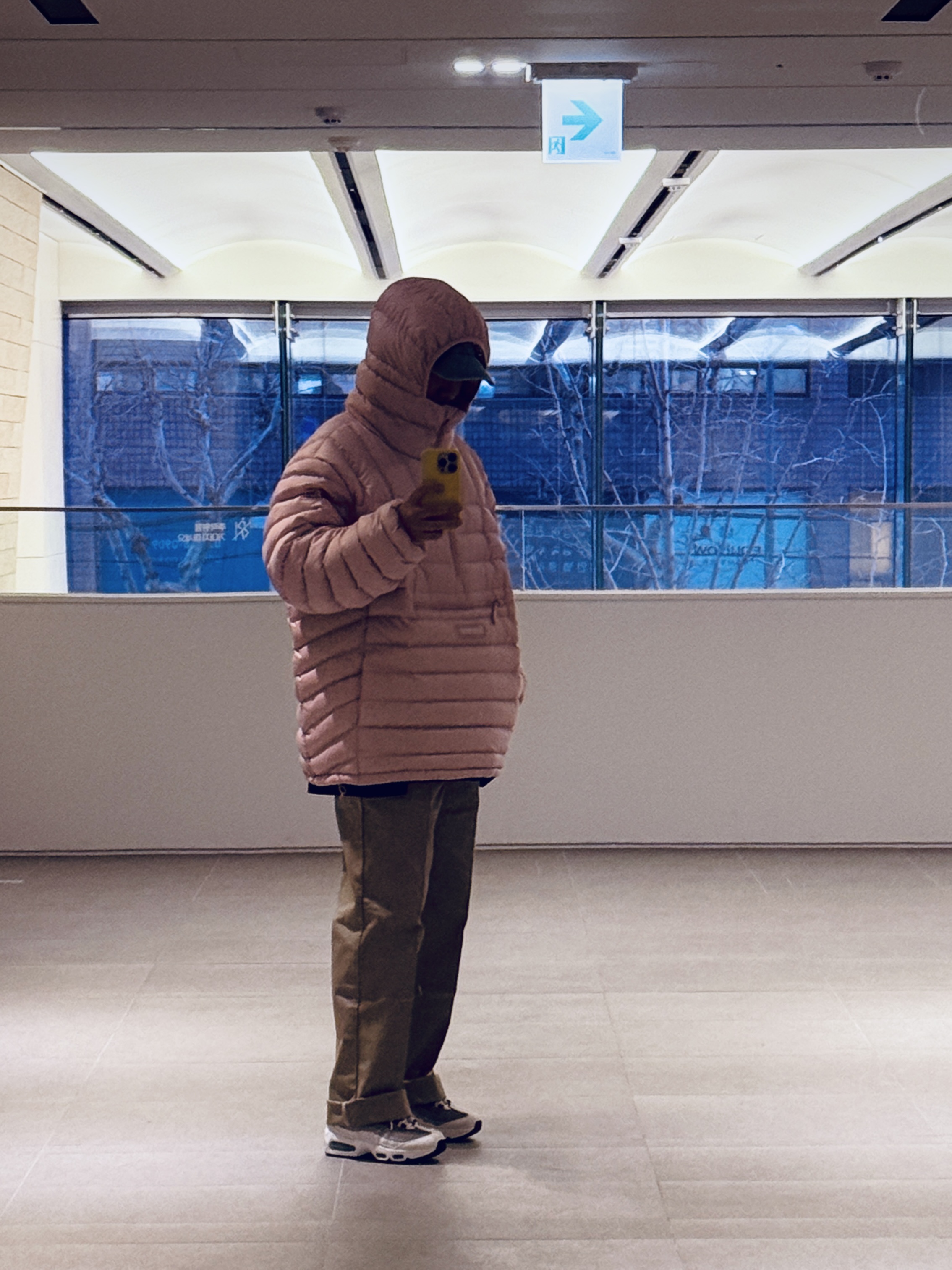 Supreme Micro Down Half Zip Hooded Pullover Light Pink - 25FW, (W) Nike Air Max 95 White Emerald Green 착용 스타일 - 2