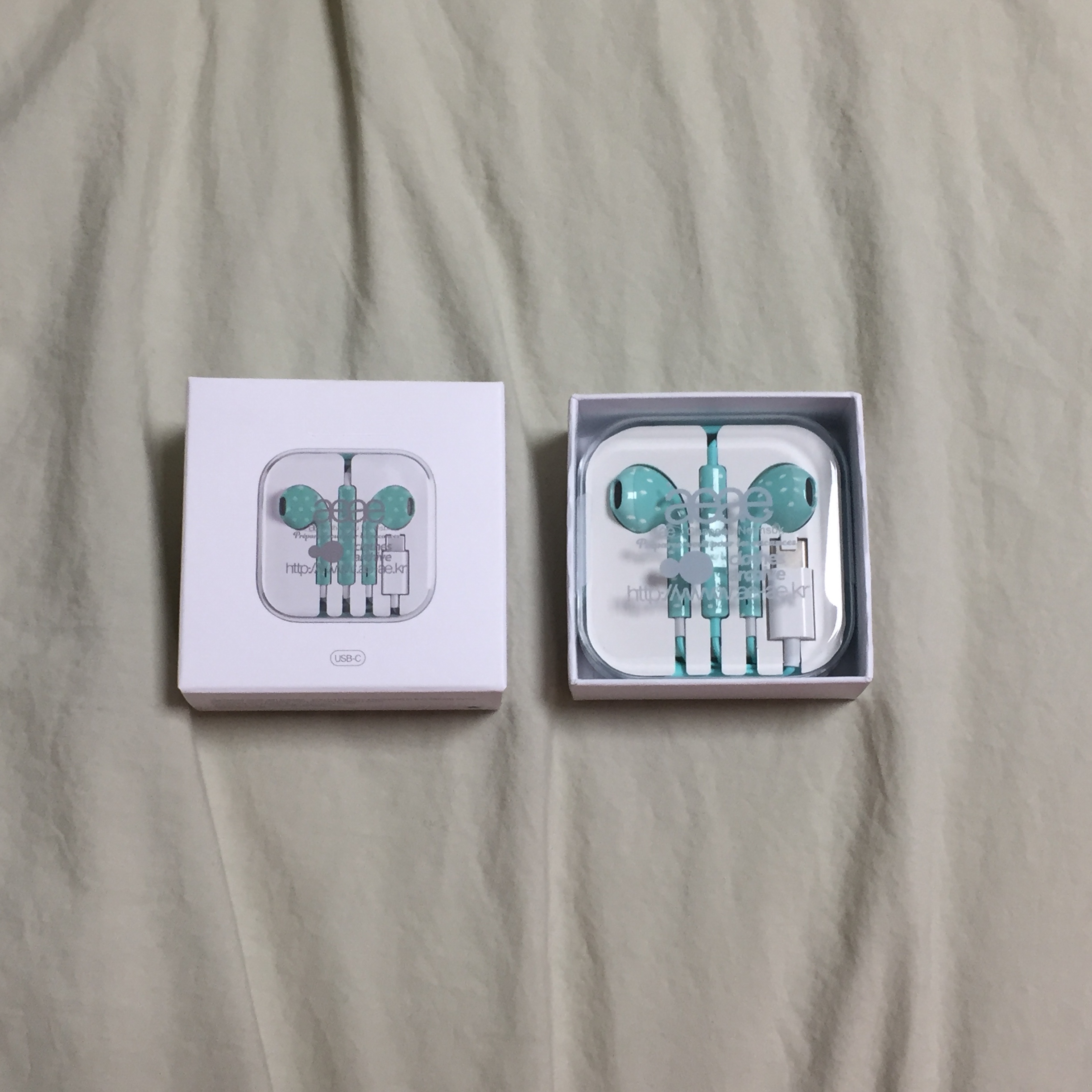 [KREAM 단독] AEAE AE Custom Earphones (USB-C) 착용 스타일