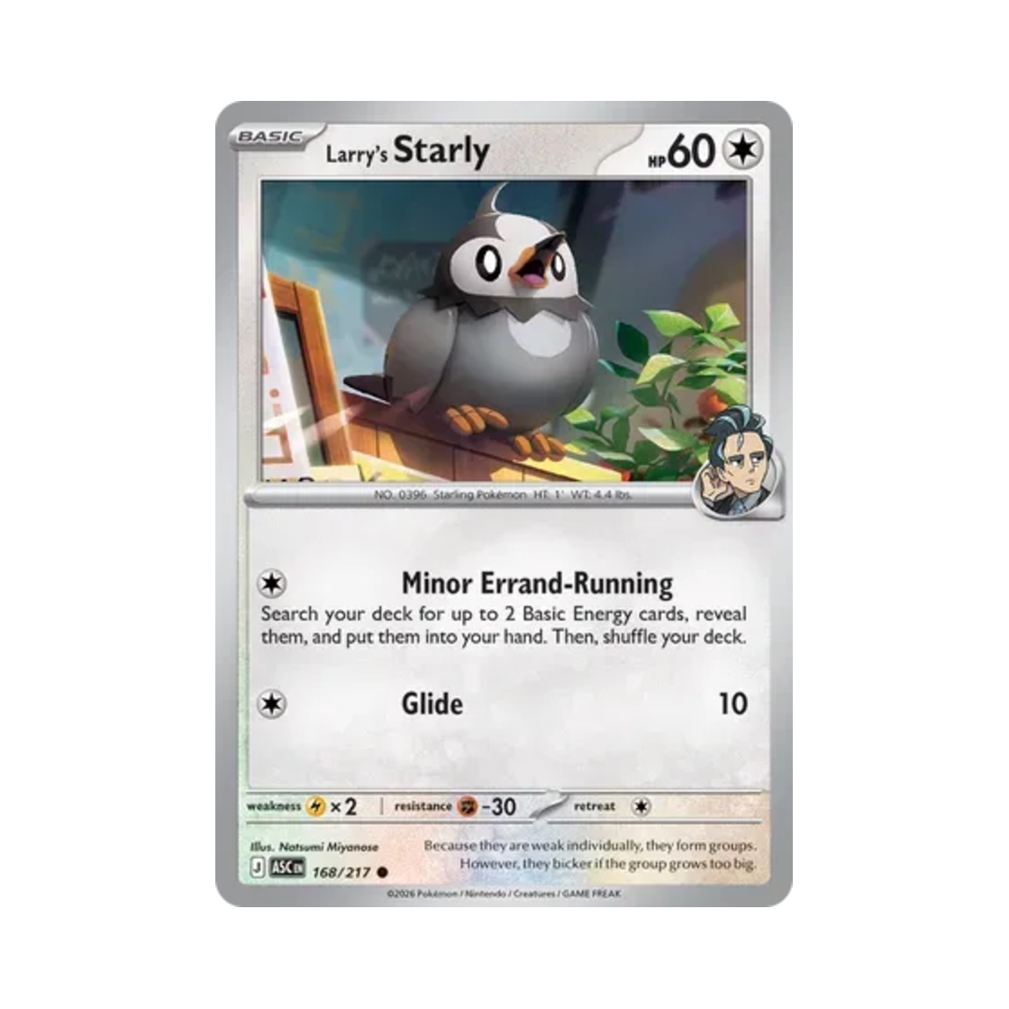 포켓몬 TCG 래리의 찌르꼬 C 메가 에볼루션 어센드 히어로즈 (영문판)(Pokemon TCG Larry's Starly C Mega Evolution Ascended Heroes (English Ver.))