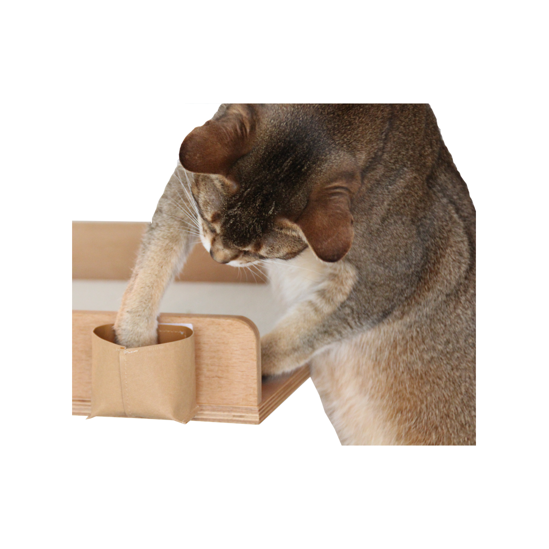 집에가야돼 캐치하다2 고양이 먹이퍼즐 보물찾기(Gottagohome CAT-CH2 Treasure hunt toy (2pcs 1set))