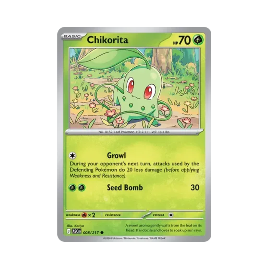 포켓몬 TCG 치코리타 C 메가 에볼루션 어센드 히어로즈 (영문판)(Pokemon TCG Chikorita C Mega Evolution Ascended Heroes (English Ver.)) - 1