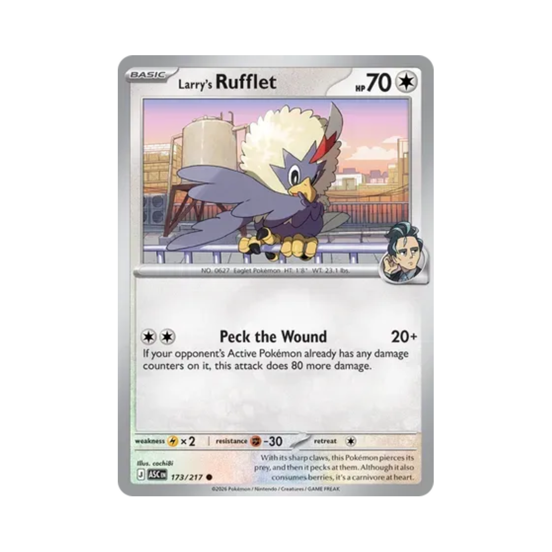 포켓몬 TCG 래리의 수리둥보 C 메가 에볼루션 어센드 히어로즈 (영문판)(Pokemon TCG Larry's Rufflet C Mega Evolution Ascended Heroes (English Ver.))