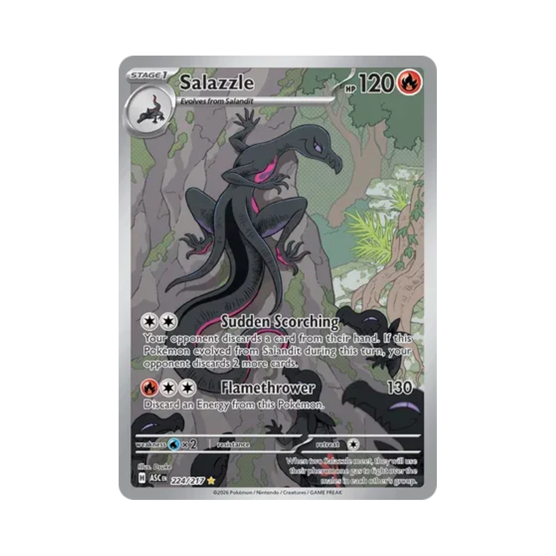 포켓몬 TCG 염뉴트 IR 메가 에볼루션 어센드 히어로즈 (영문판)(Pokemon TCG Salazzle IR Mega Evolution Ascended Heroes (English Ver.)) - 1