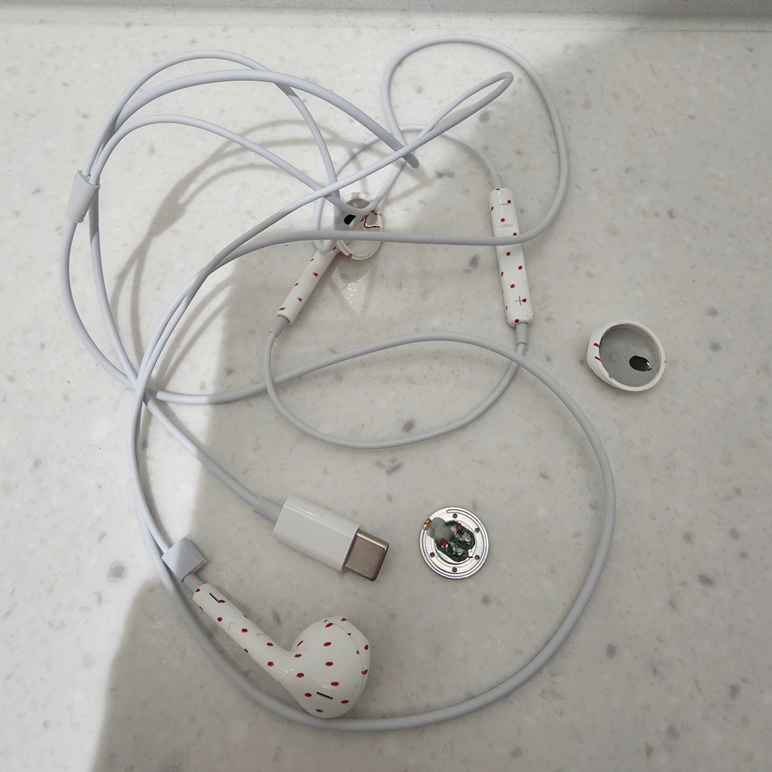 [KREAM 단독] AEAE AE Custom Earphones (Lightning Connector), [KREAM 단독] AEAE AE Custom Earphones (USB-C) 착용 스타일