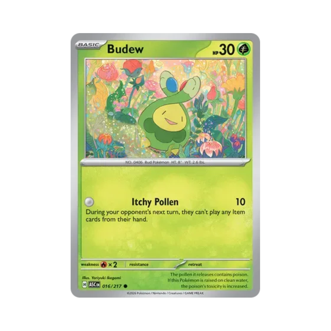 포켓몬 TCG 꼬몽울 C 메가 에볼루션 어센드 히어로즈 (영문판)(Pokemon TCG Budew C Mega Evolution Ascended Heroes (English Ver.))