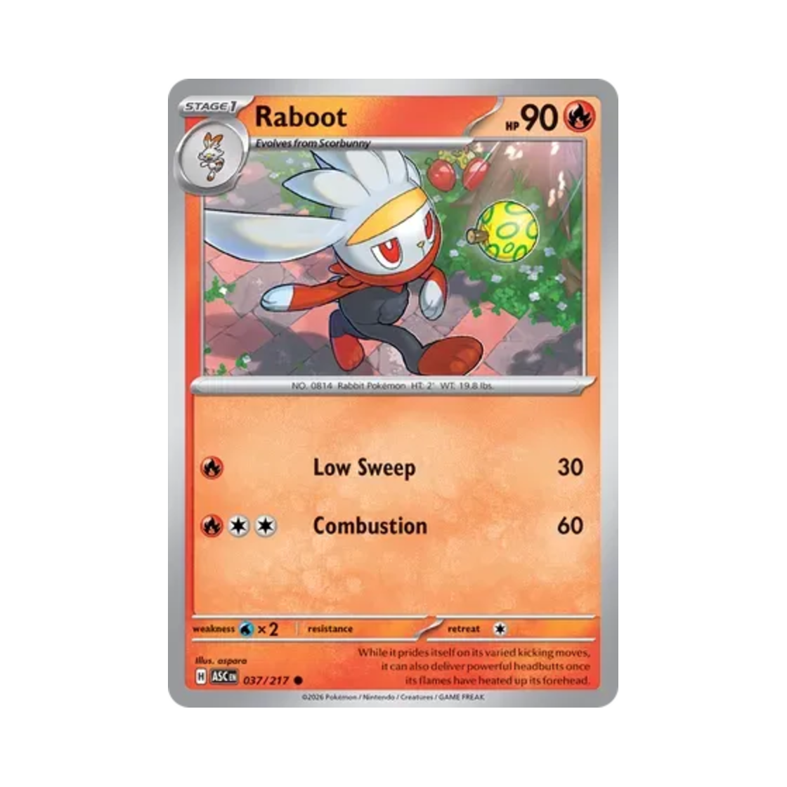 포켓몬 TCG 래비풋 C 메가 에볼루션 어센드 히어로즈 (영문판)(Pokemon TCG Raboot C Mega Evolution Ascended Heroes (English Ver.))
