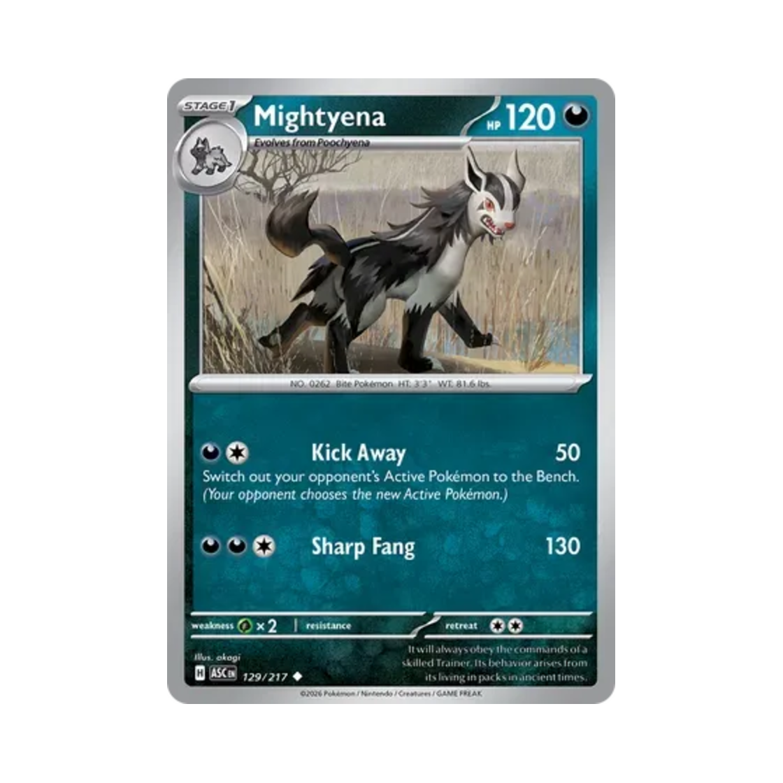 포켓몬 TCG 그라에나 U 메가 에볼루션 어센드 히어로즈 (영문판)(Pokemon TCG Mightyena U Mega Evolution Ascended Heroes (English Ver.))