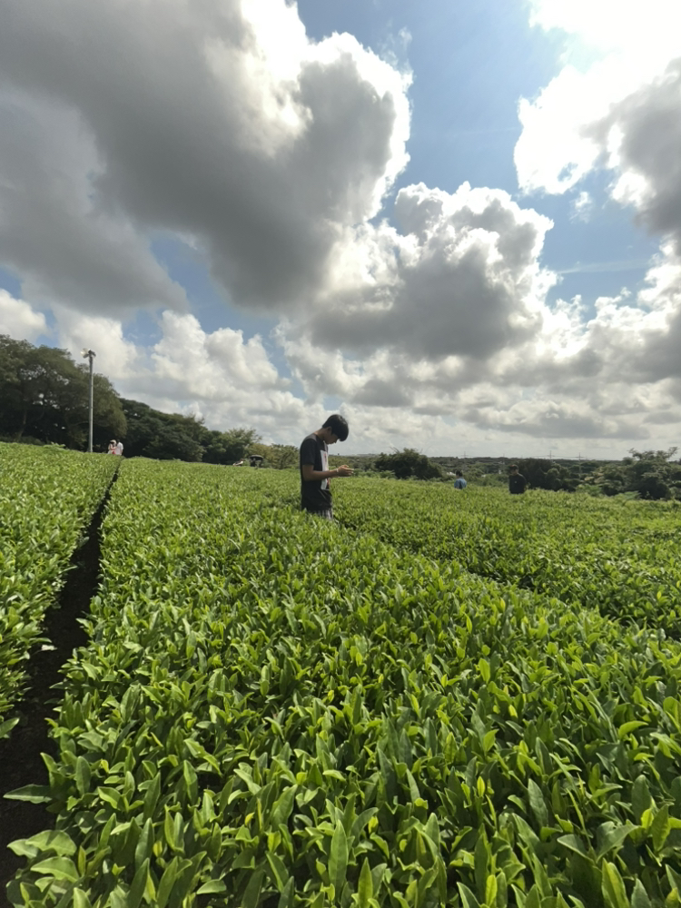 관심 유저 프로필 이미지
